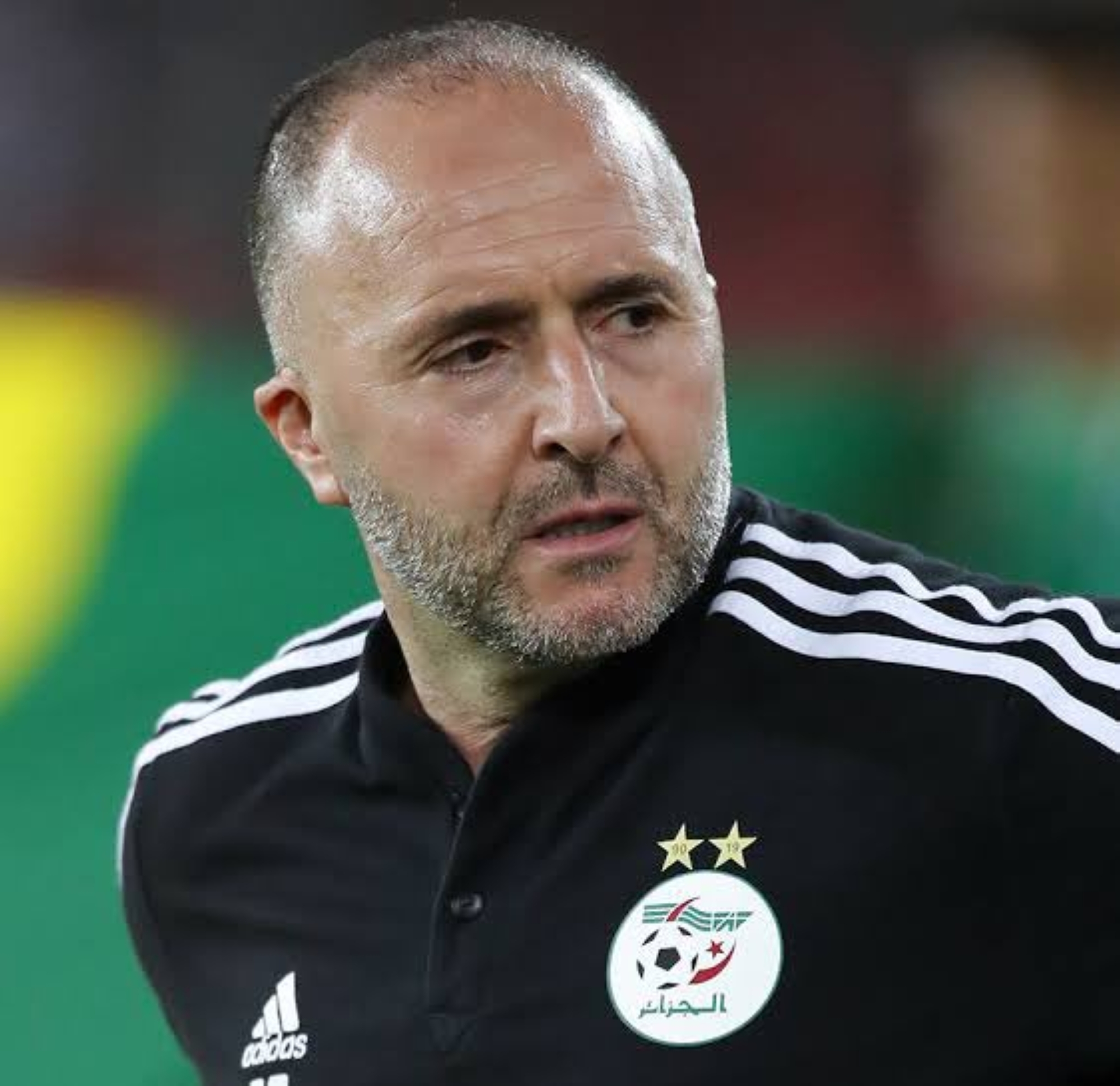 منتخب الجزائر ينفصل عن بلماضي بالتراضي