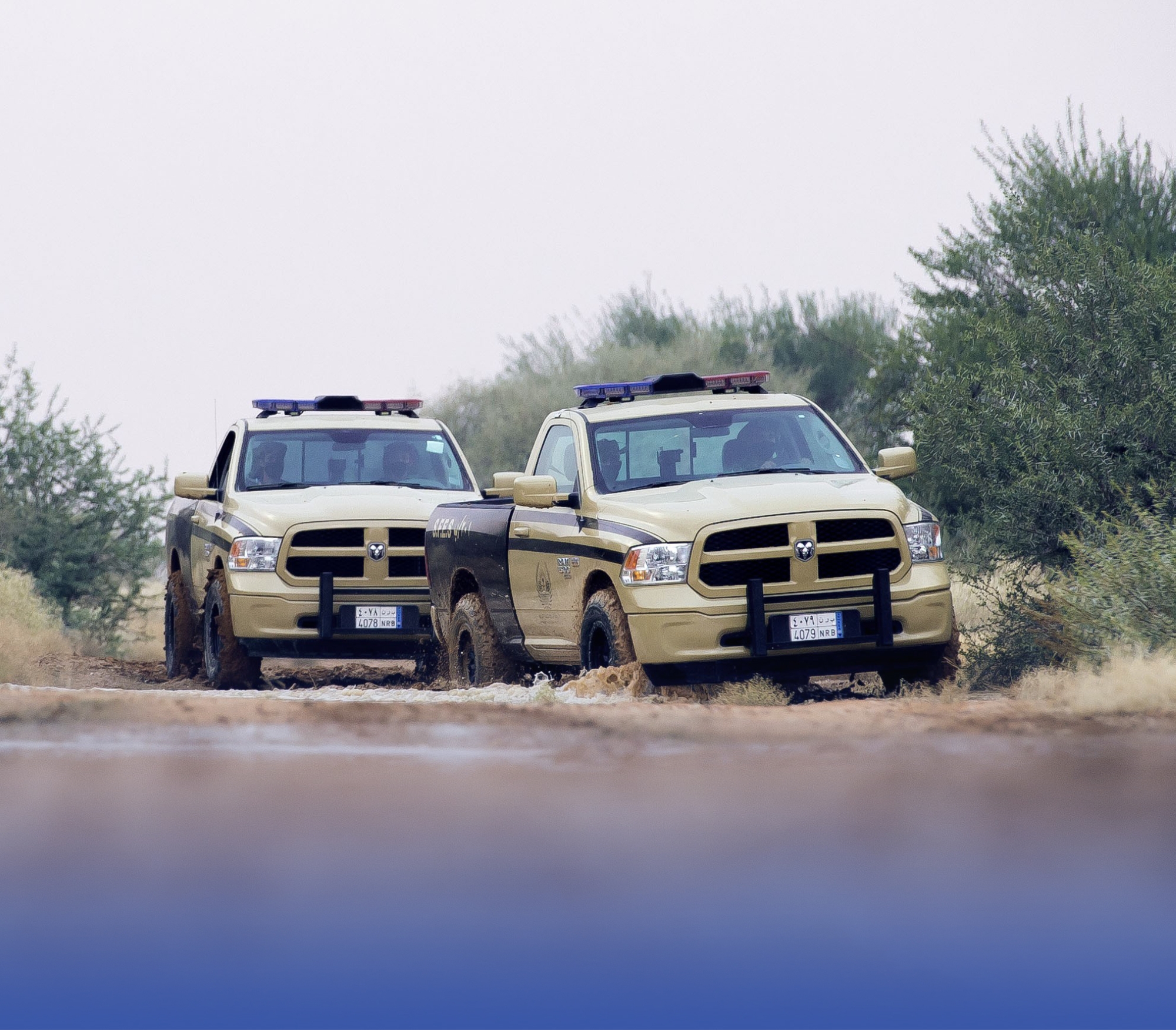 ضبط مواطن بحث عن "الفقع" بمحمية "الإمام"
