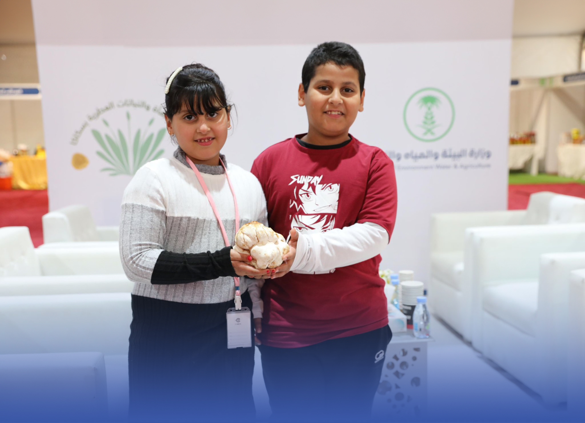 مهرجان "الكمأة" يستهوي أهالي سكاكا