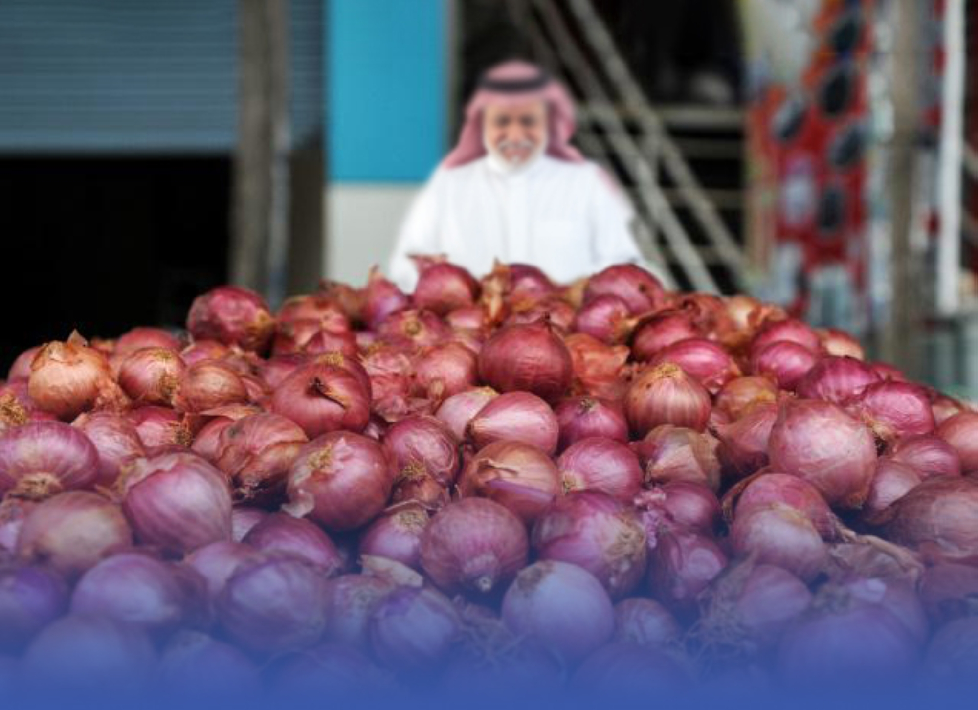 اتحاد "الغرف": أزمة "البصل" عالمية
