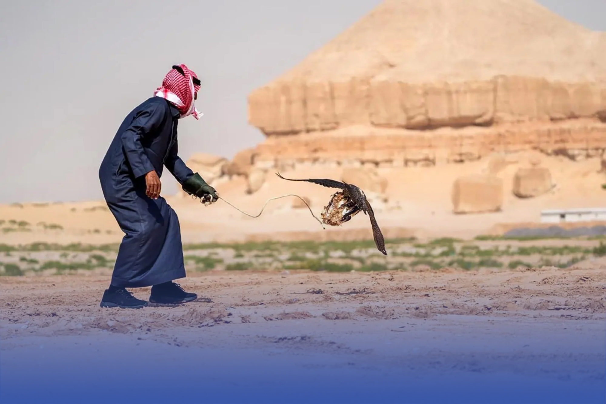 "صقور الأحساء".. تاريخ يحلق من "جبل الأربع"