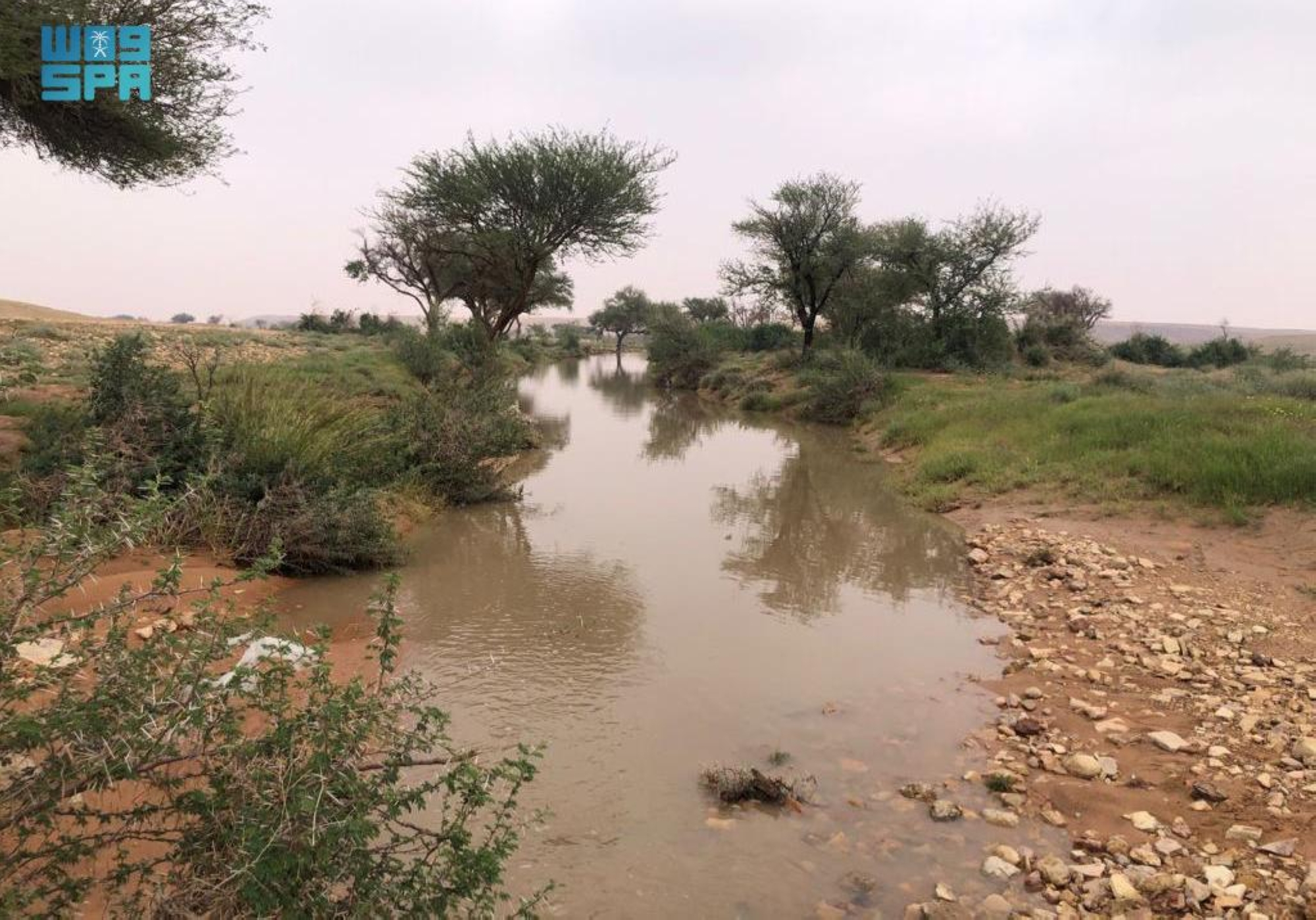 "حصاد مياه الأمطار" يحيي الأراضي المتدهورة