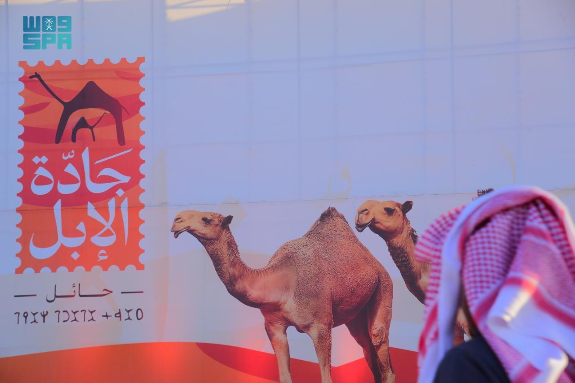 الخط الثمودي "يوثق" جادة الإبل في حائل