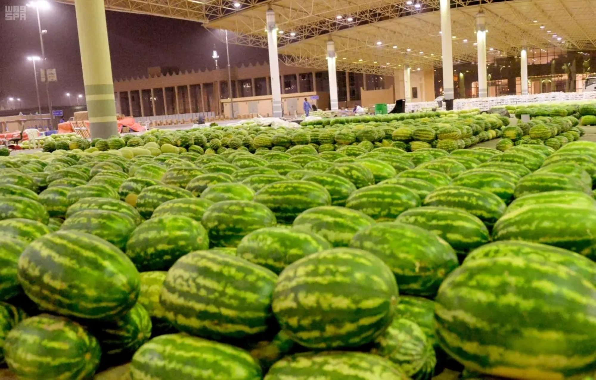 بنسبة اكتفاء 99%.. أسواق المملكة تستقبل "البطيخ"