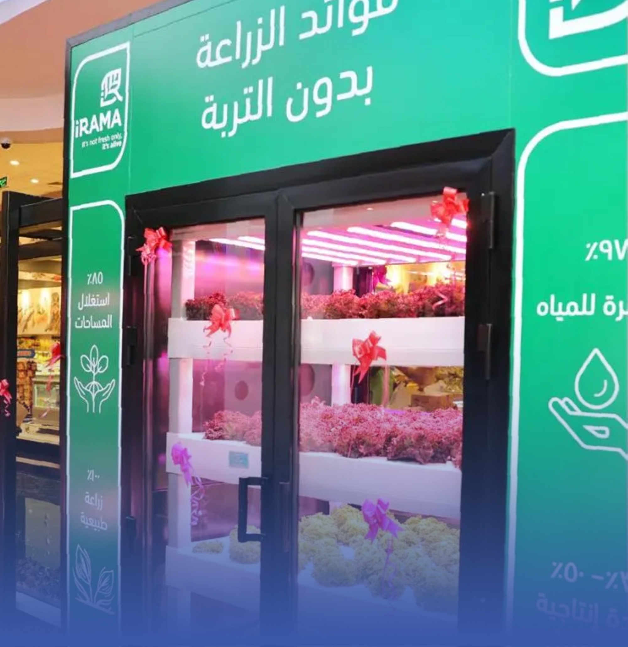 "البيئة" تدشّن أول مزرعة حضرية داخل الأسواق