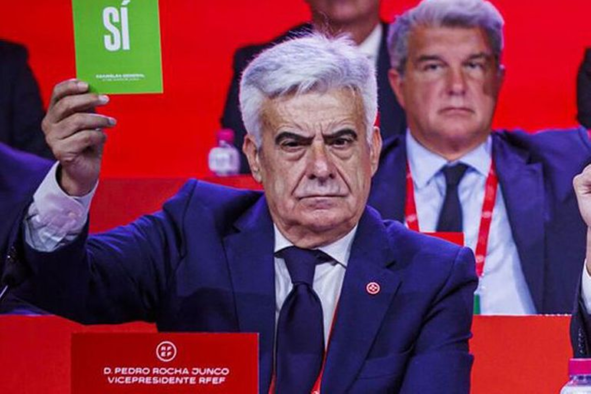 تعيين بيدرو روشا رئيساً للاتحاد الإسباني