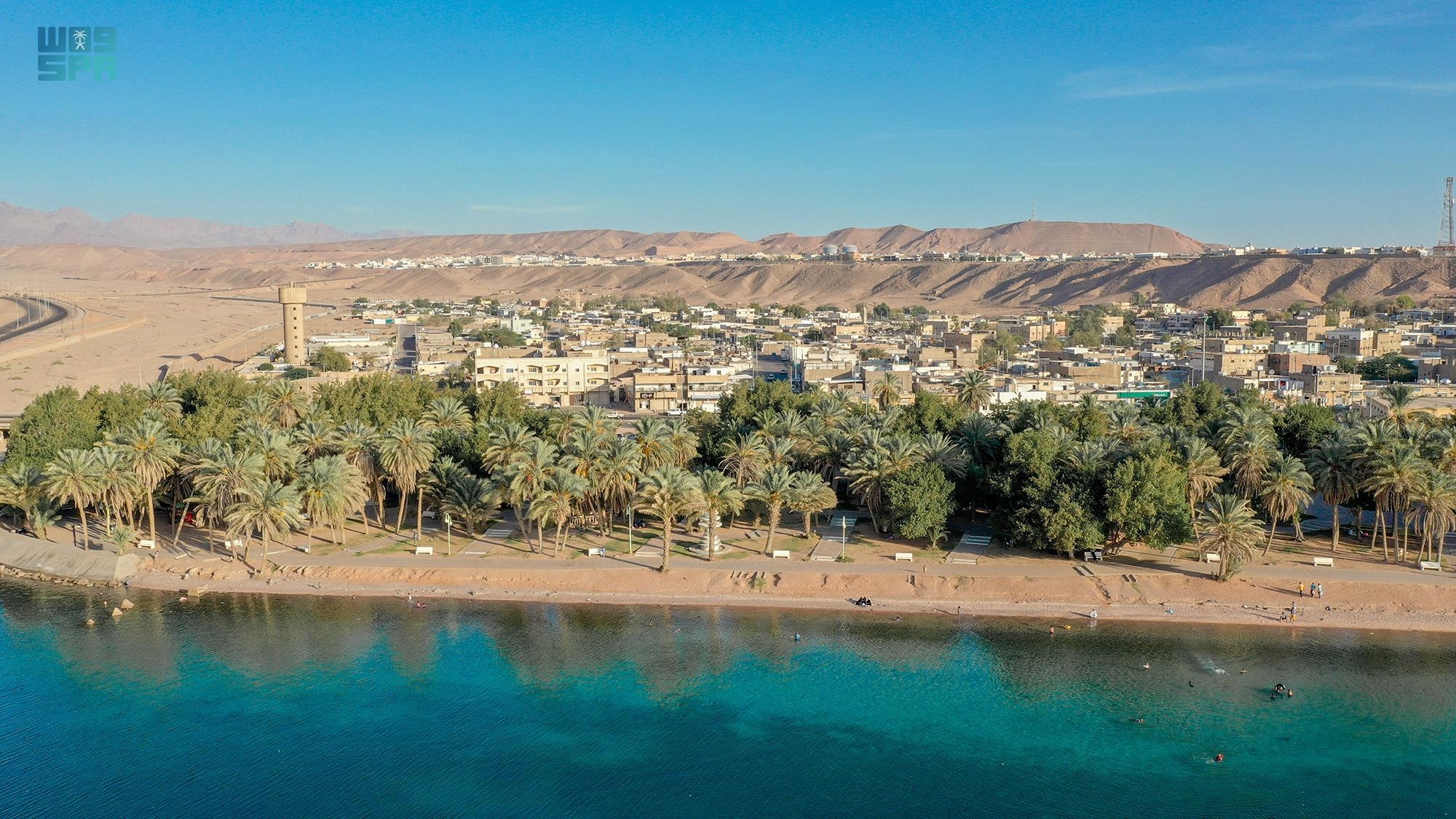 "متنزه النخيل" سحر شواطئ حقل