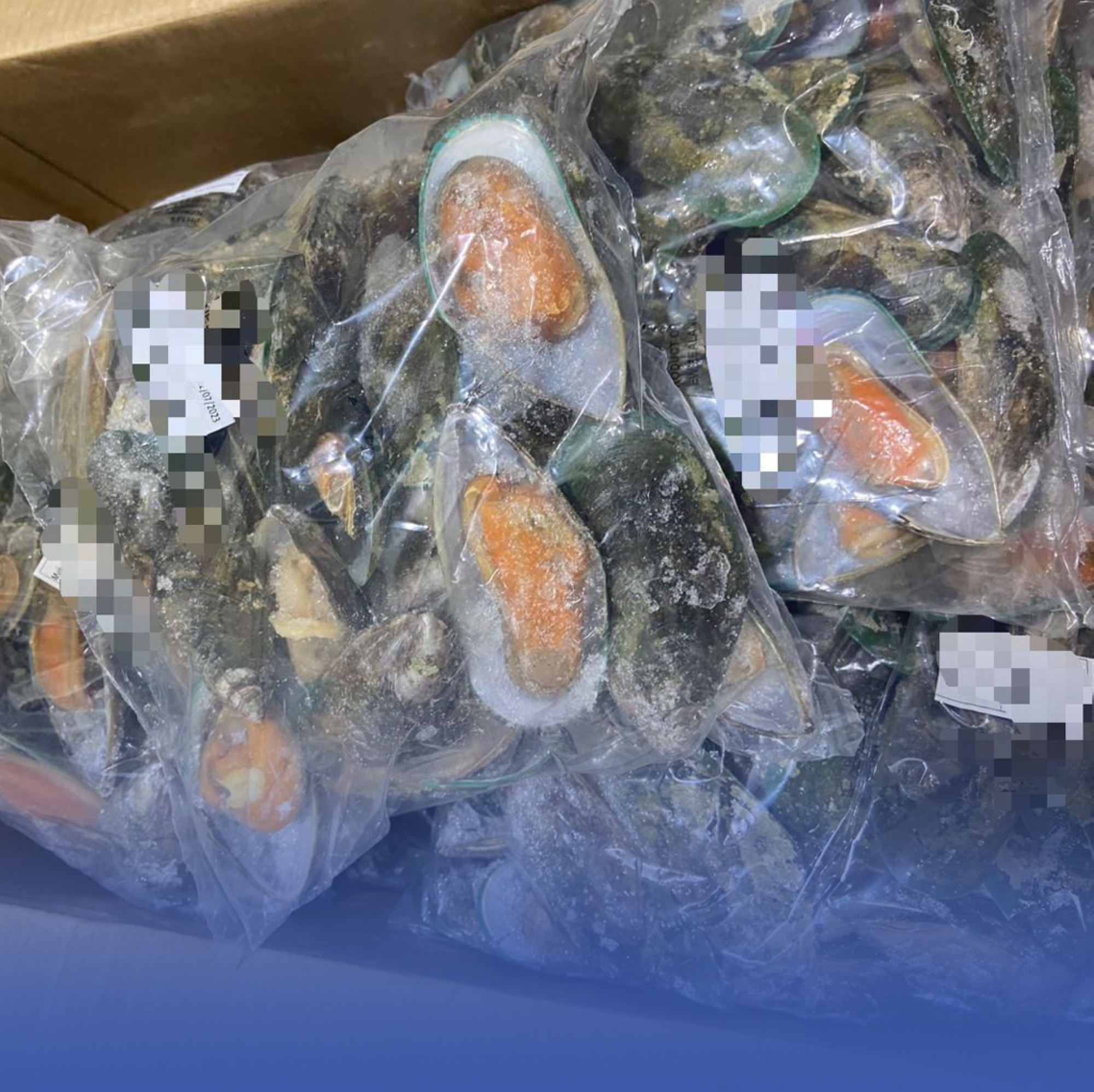 ضبط 264 طن مأكولات بحرية منتهية الصلاحية