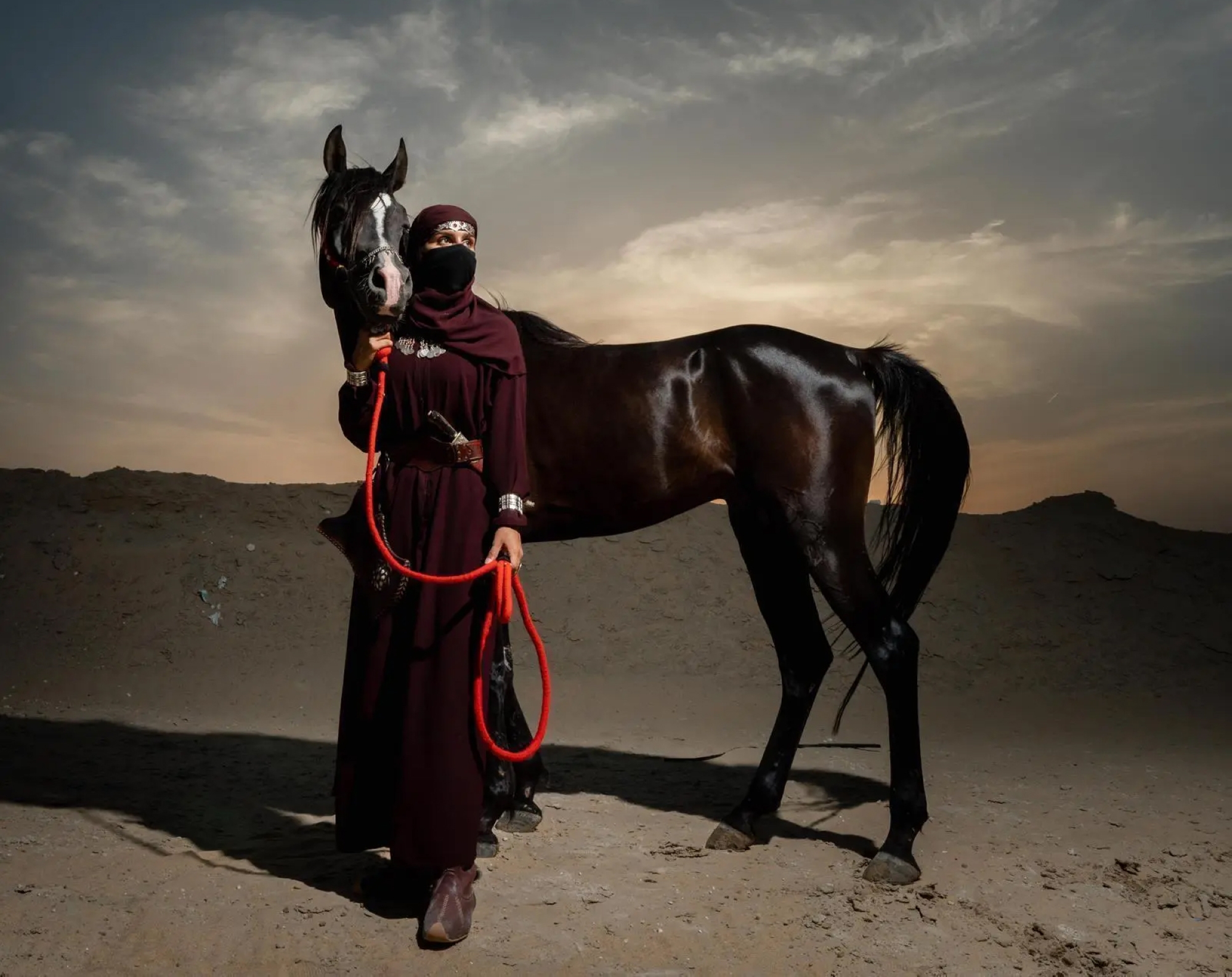 أوشحة الخيل.. تنافس على إرث ثقافي سعودي