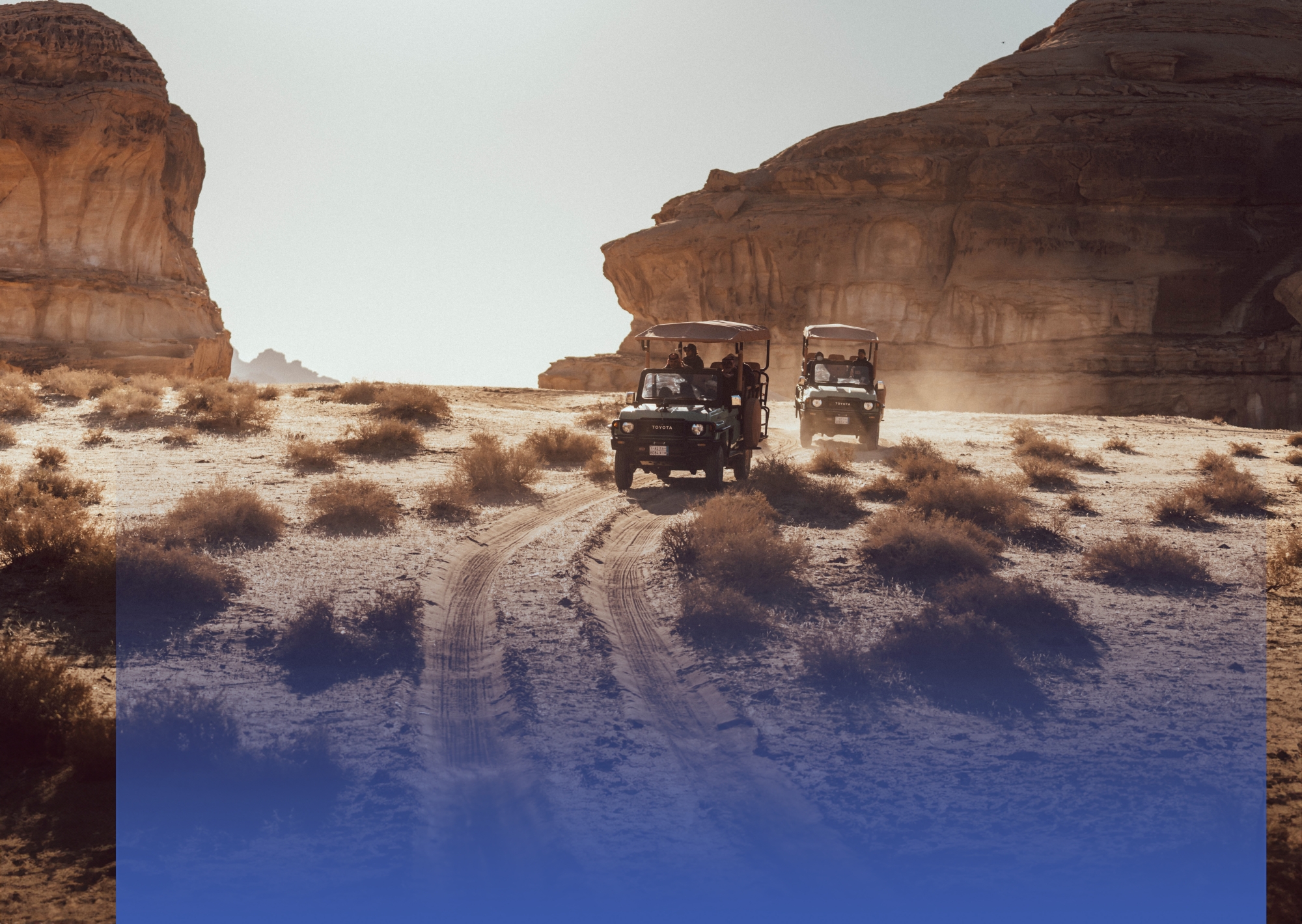 "العلا" تكشف عن برنامجها الصيفي
