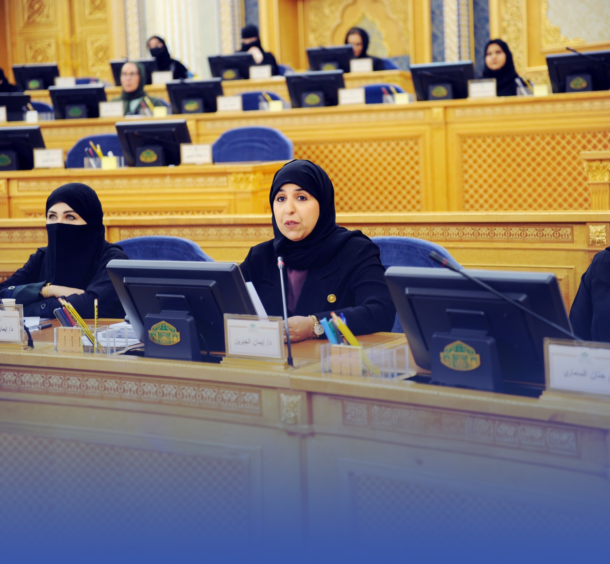 مطالبة شورية بزيادة الرحلات الداخلية وإنشاء مطارات
