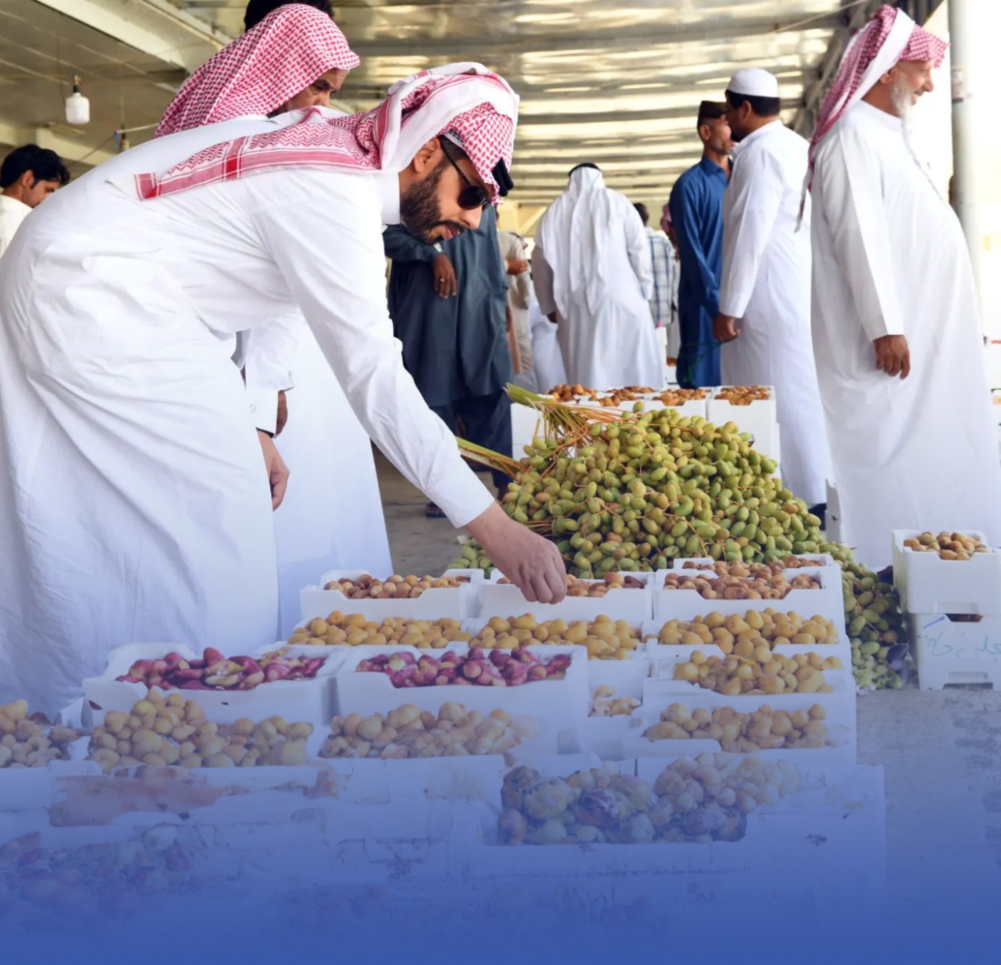 أسواق طيبة تتأهب لاستقبال طلائع الرطب