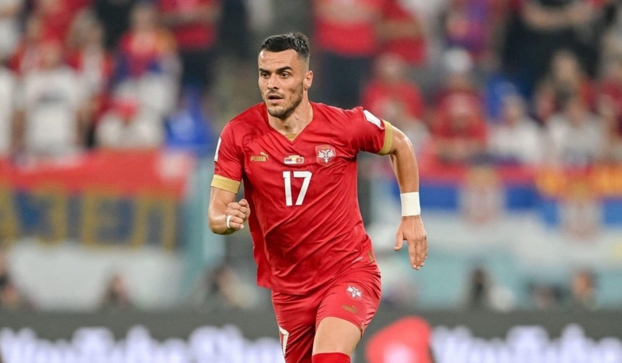 الإصابة تنهي مشوار كوستيتش في يورو 2024