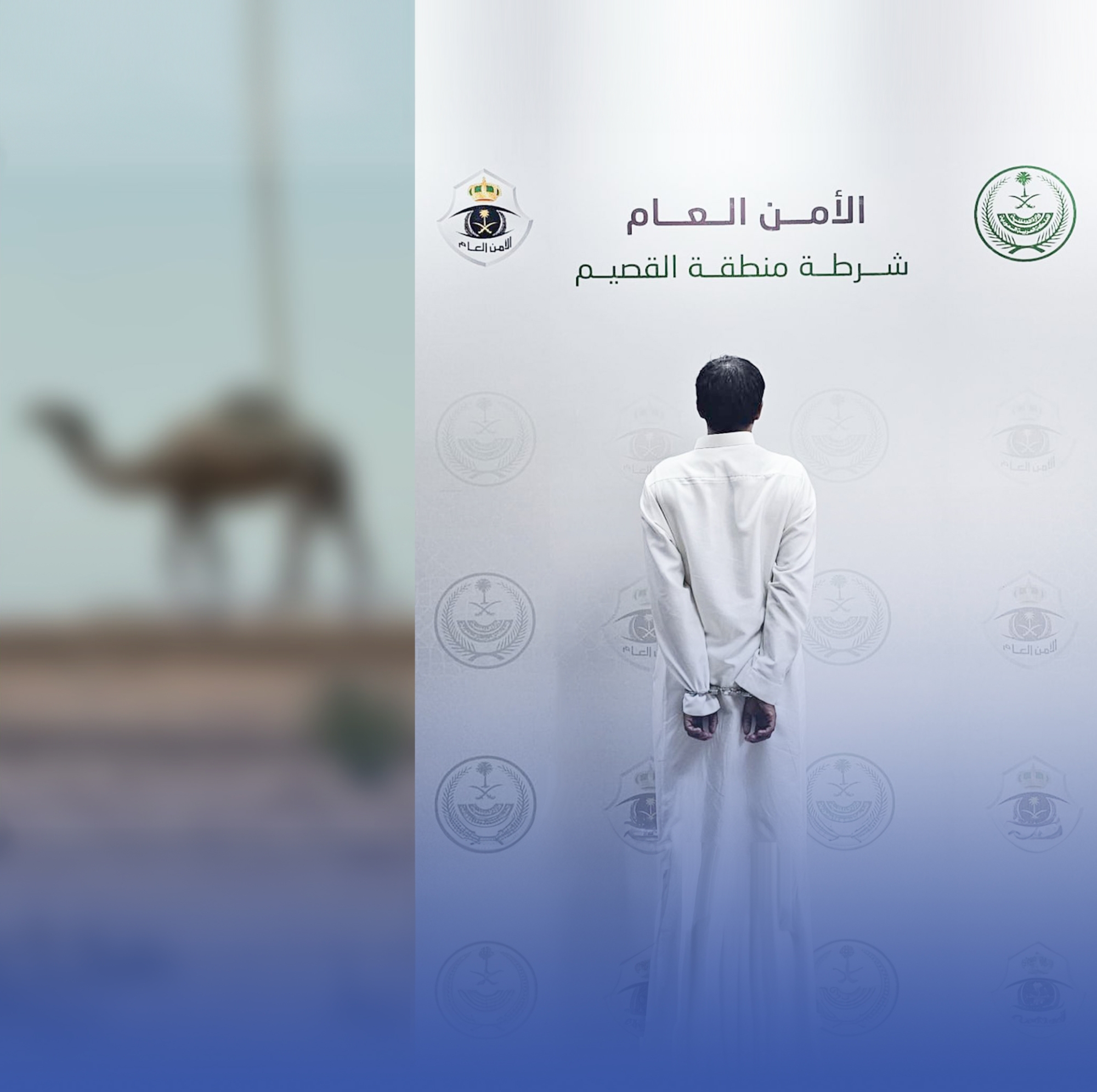 القبض على شخص أتلف ممتلكات عامة بالقصيم