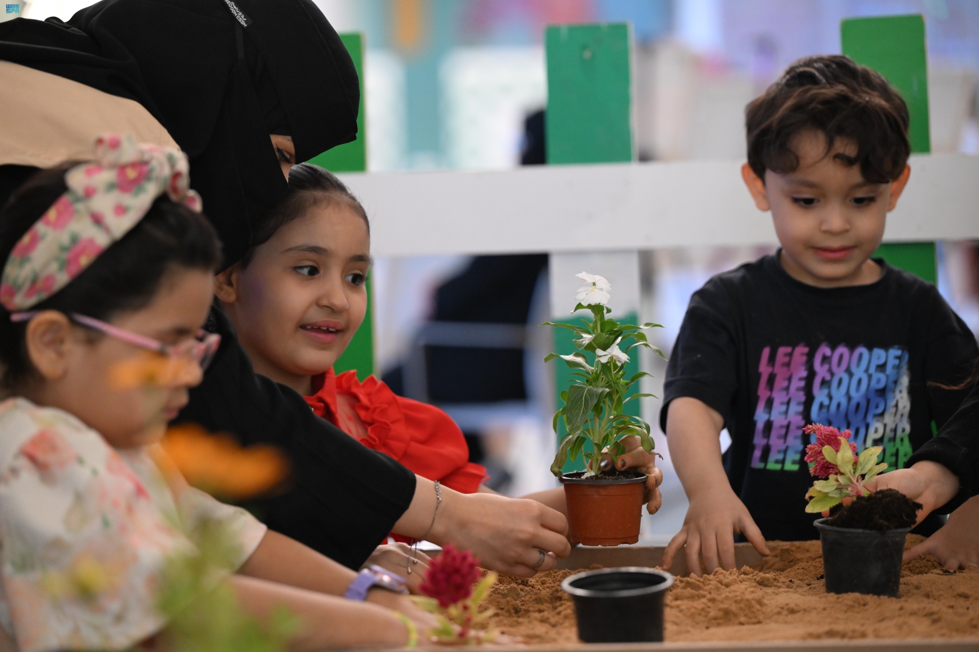 مهرجان العسل.. تسوق وتوعية في تبوك