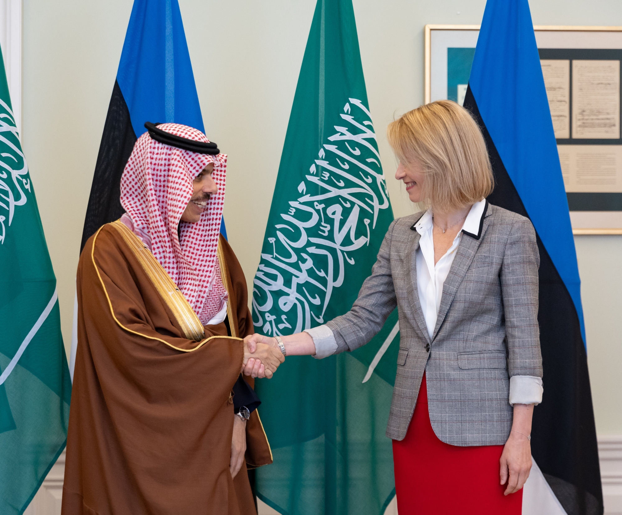 وزير الخارجية يبحث مع رئيسة وزراء إستونيا تطوير التعاون