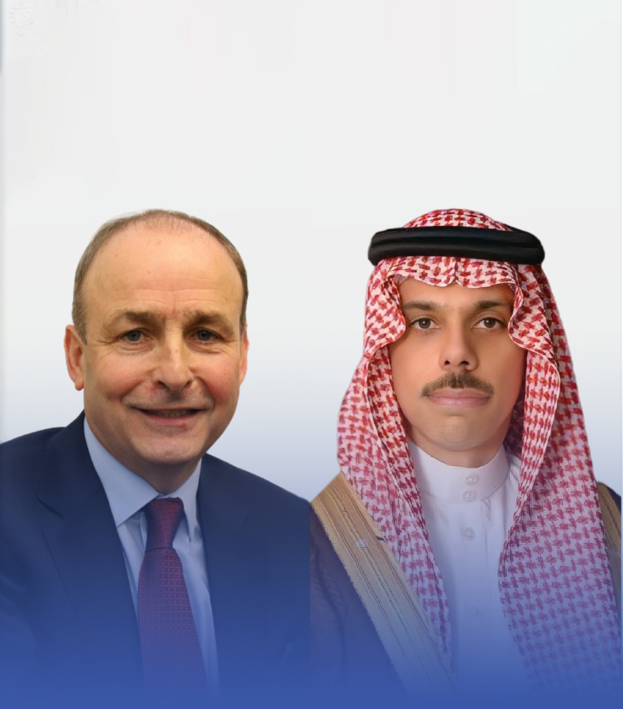 وزير الخارجية ونظيره الإيرلندي يبحثان تعزيز العلاقات