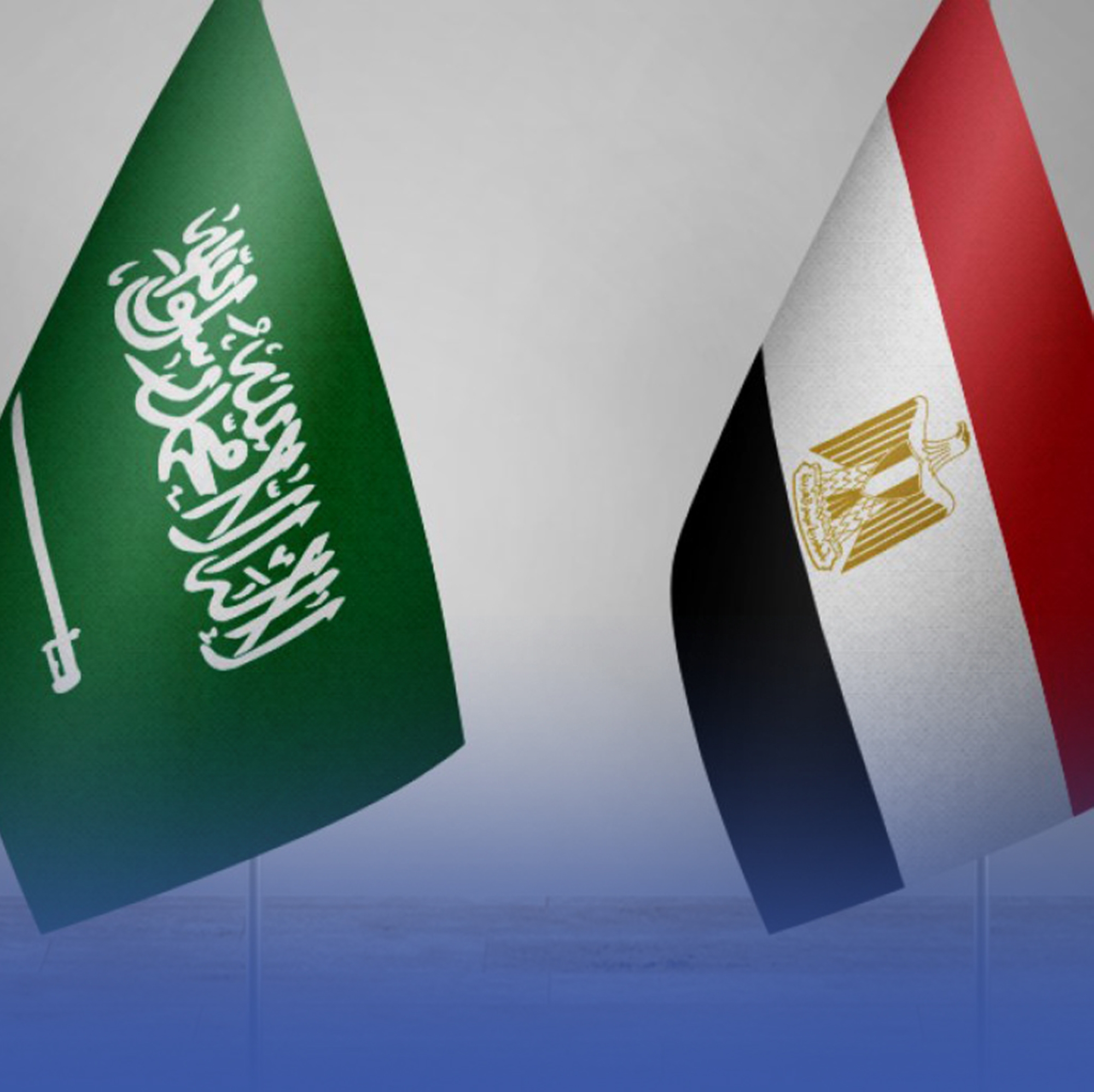 اتفاق سعودي مصري وشيك لتشجيع وحماية الاستثمارات