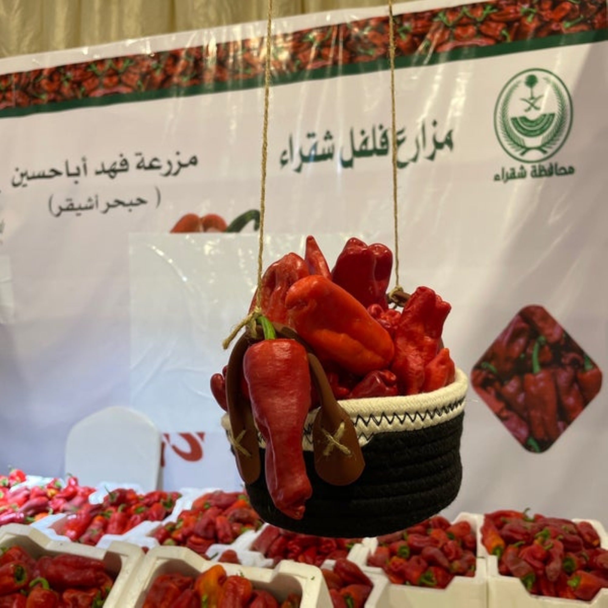 1.61 مليار دولار حجم سوق الفلفل عالميا في 2024