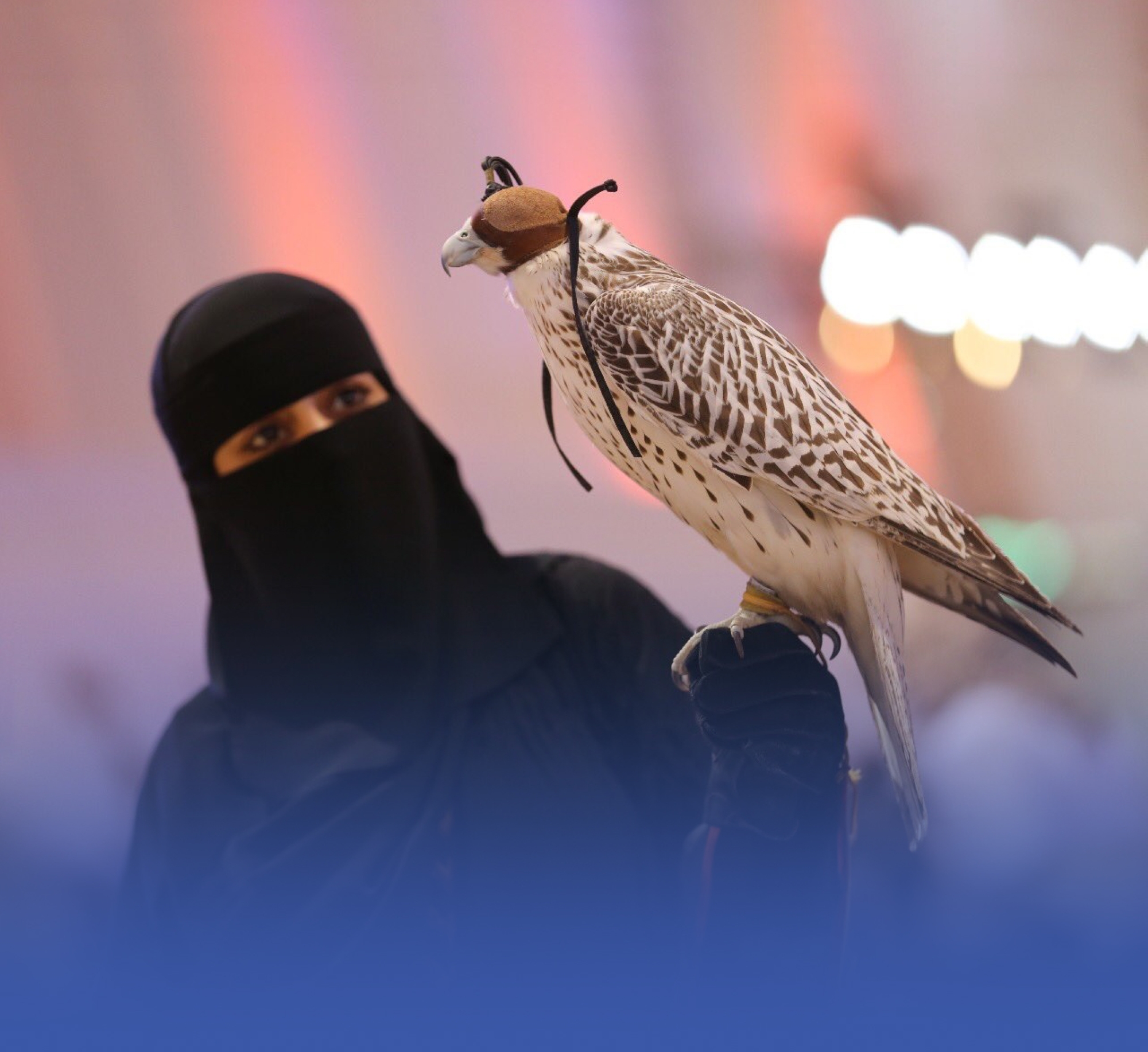 انطلاق مزاد الصقور 2024 بالرياض