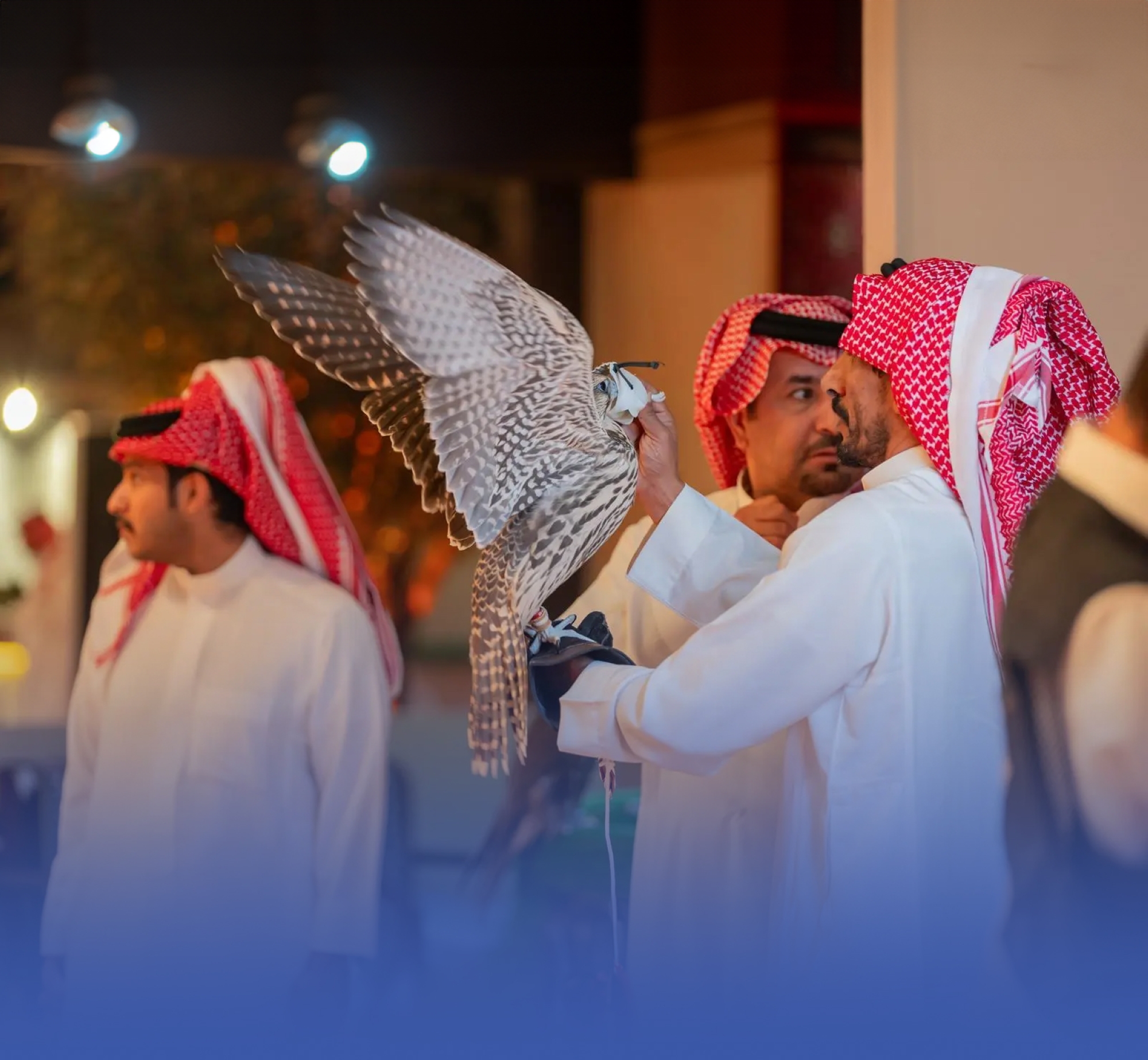 13 مزرعة سعودية بالمزاد الدولي للصقور