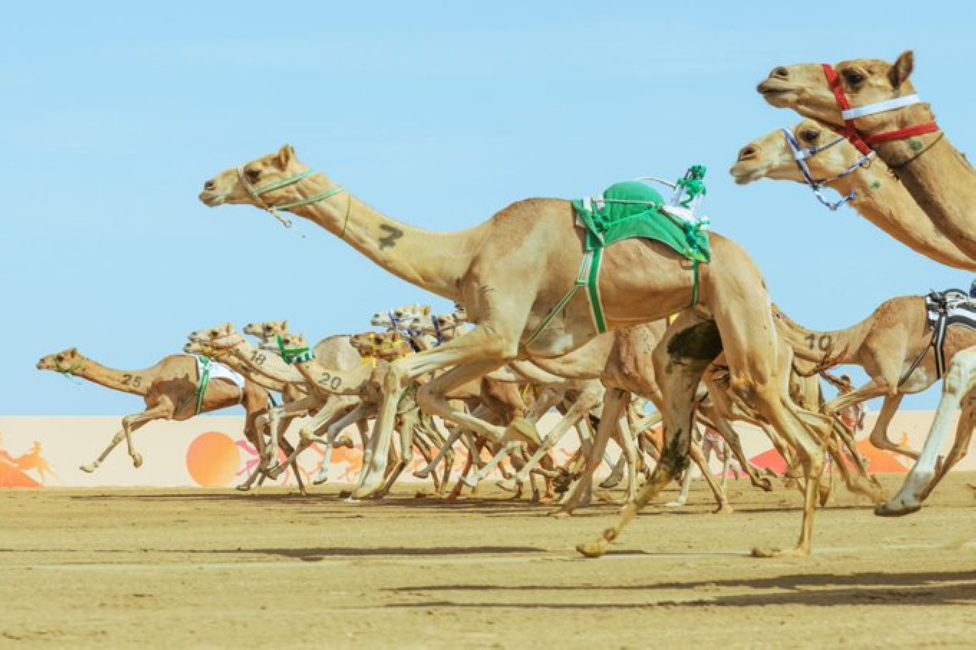 المطية نوارة تحقق التوقيت الأفضل في منافسات الجذاع