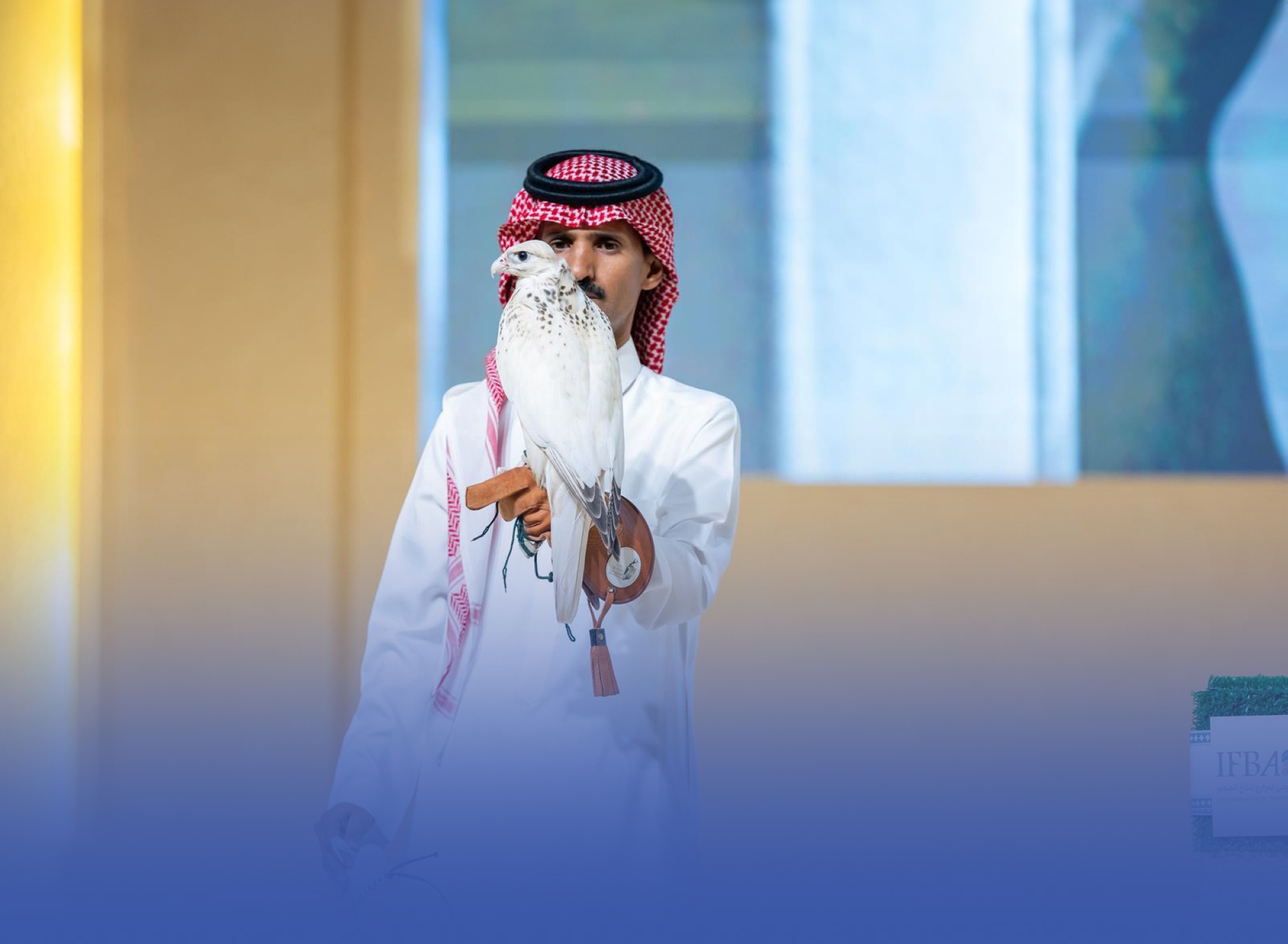 بيع أغلى صقر بـ 400 ألف ريال في مزاد الصقور