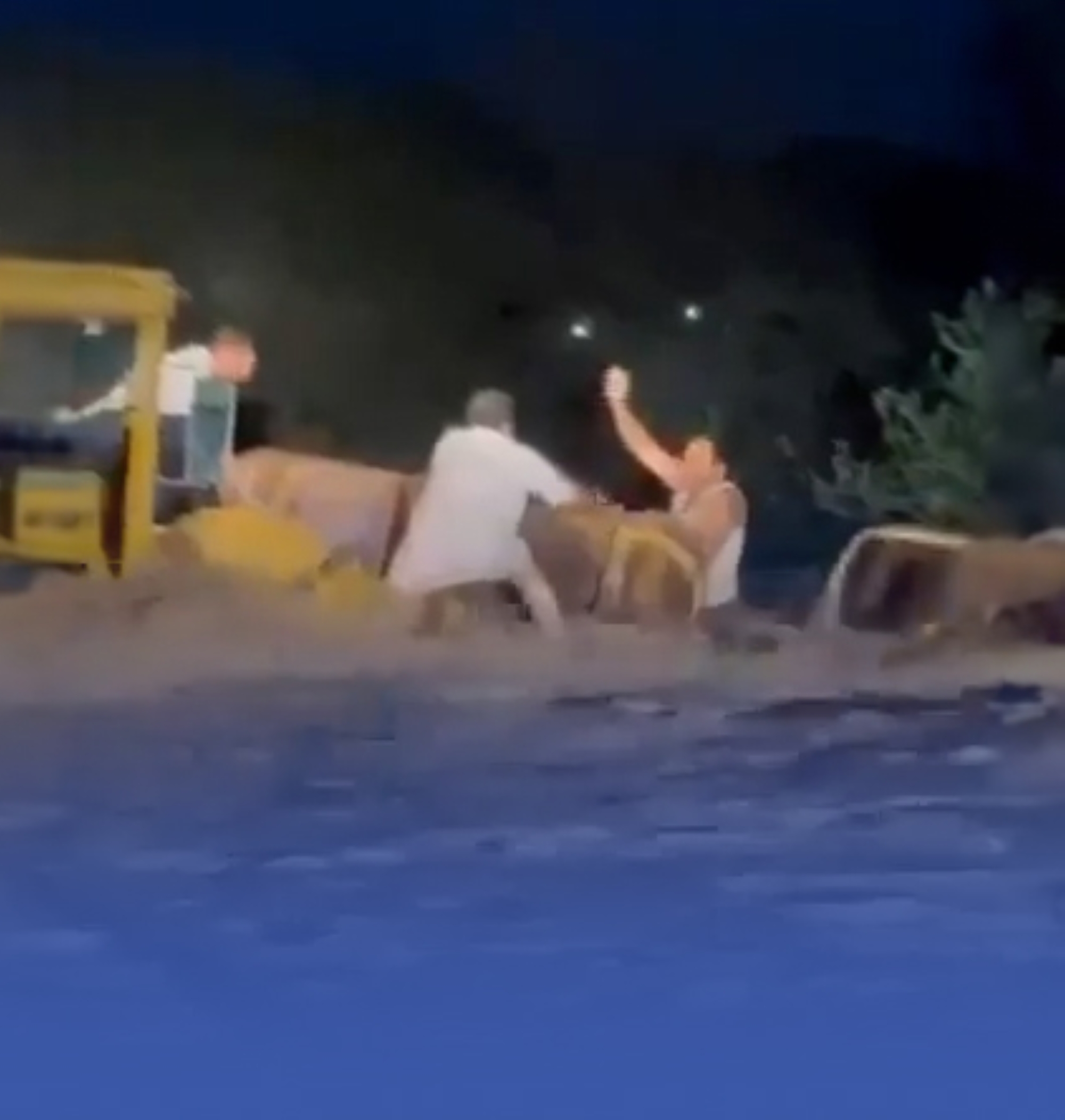 أمير المدينة يكرم مواطنًا أنقذ 4 أشخاص من السيول