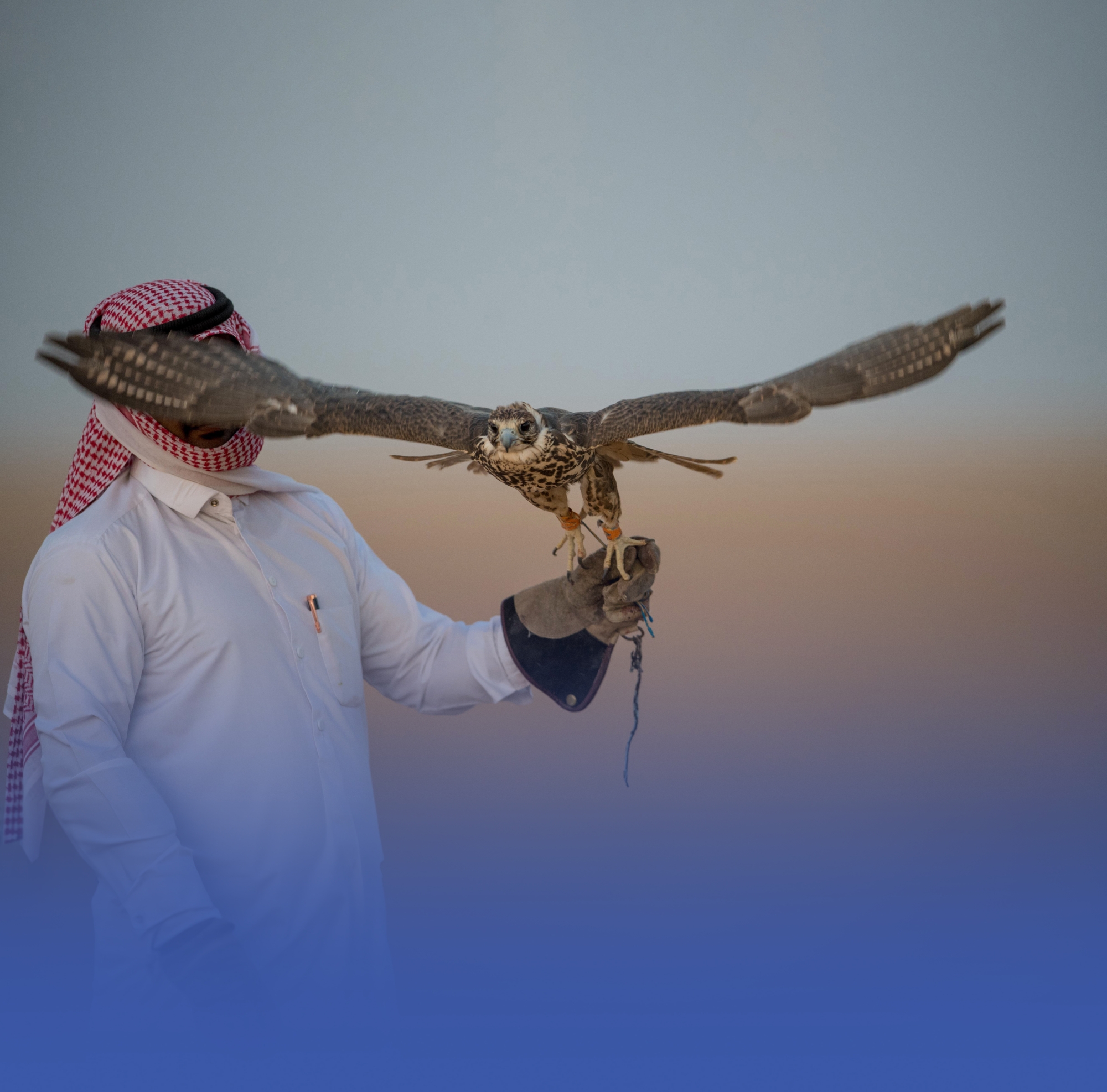 "القنص" هواية الآباء والأجداد