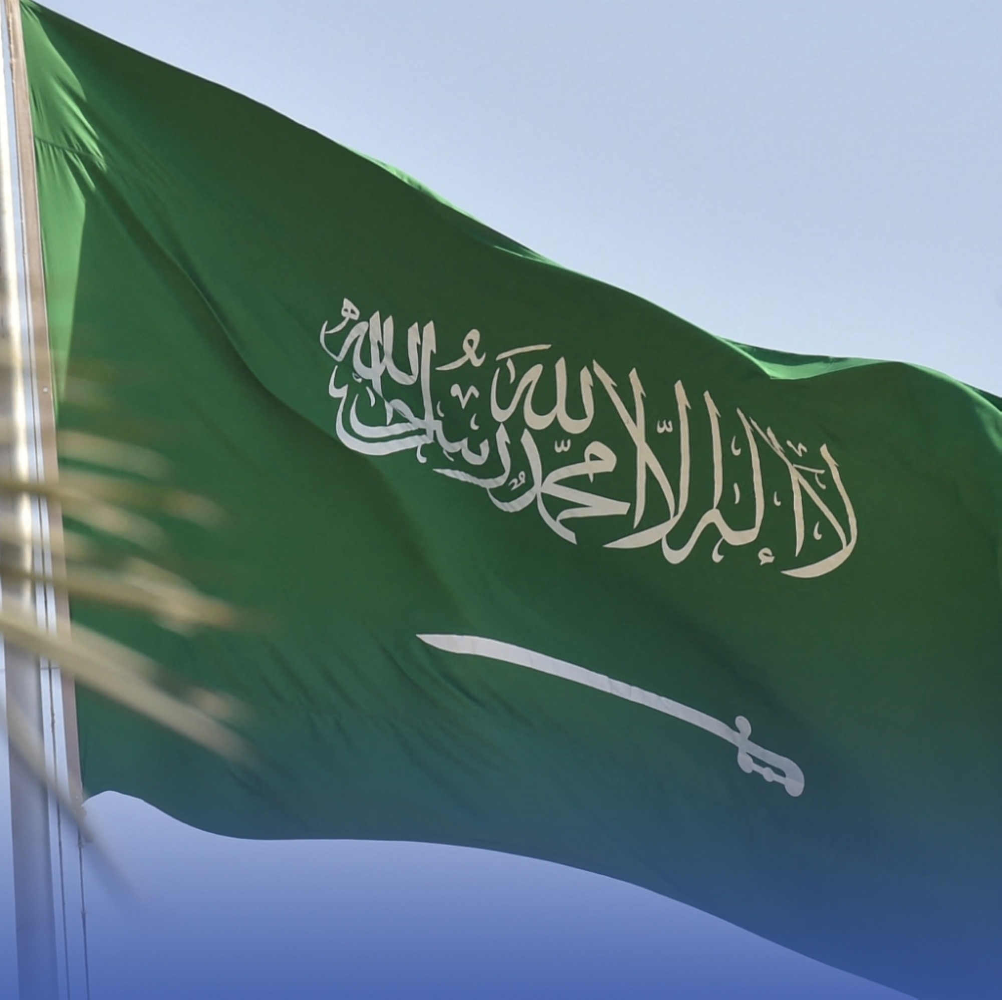 الداخلية: 13 محظوراً لاستخدام العَلَم