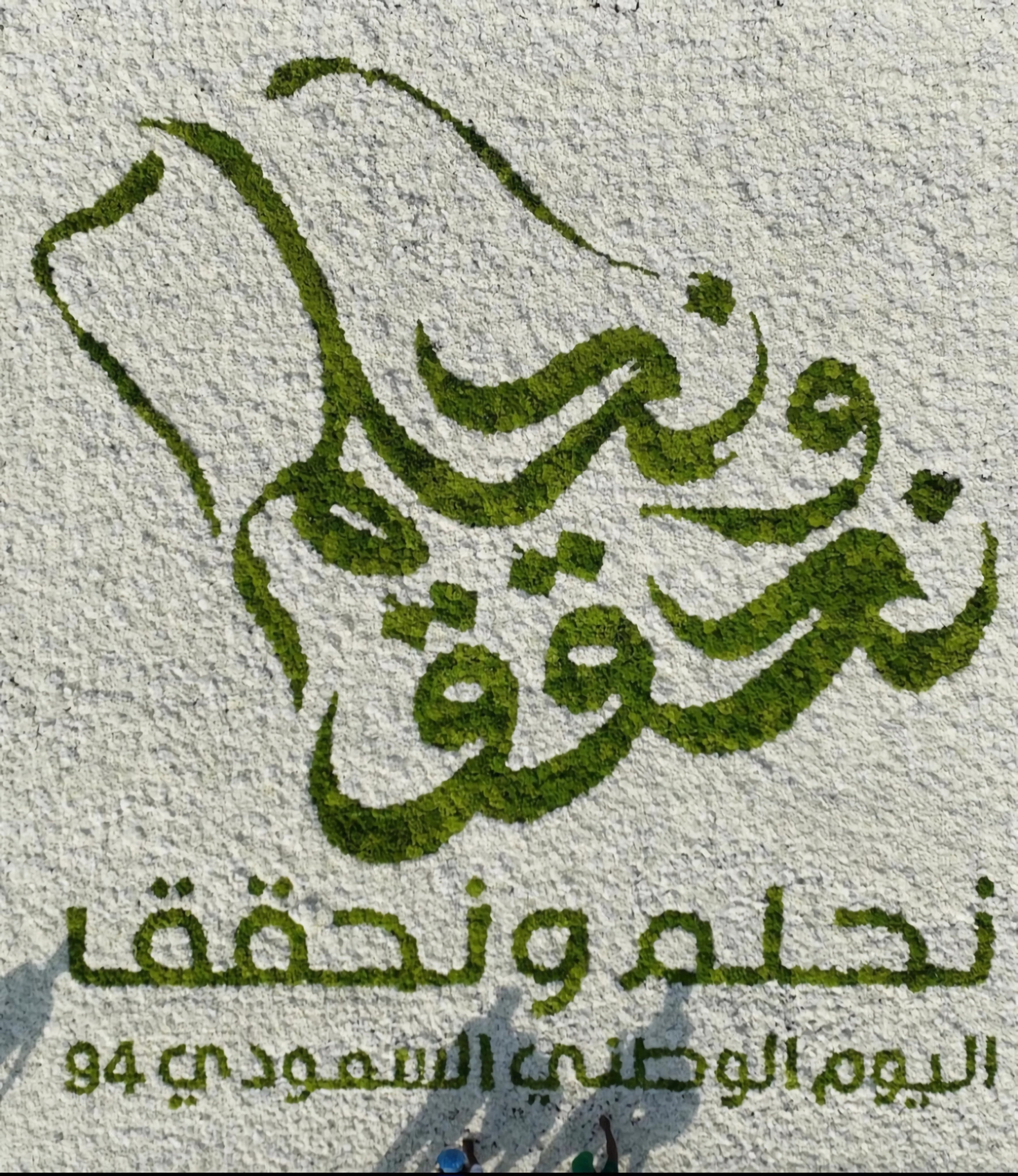 فسيفساء وطنية تدخل موسوعة جينيس