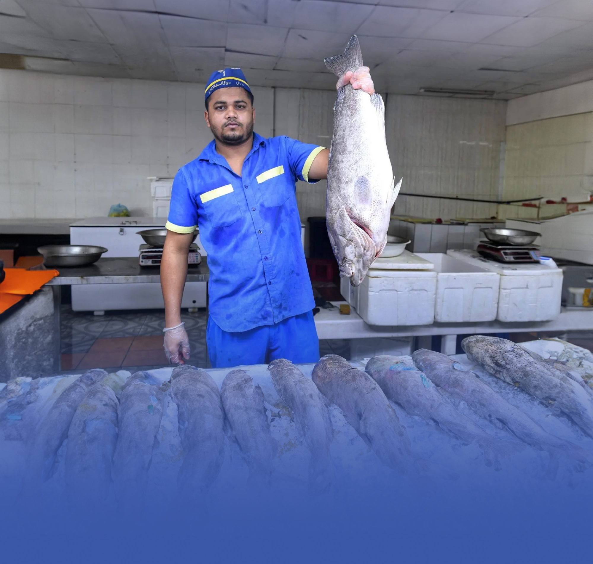 214 ألف طن إنتاج المملكة من الثروة السمكية