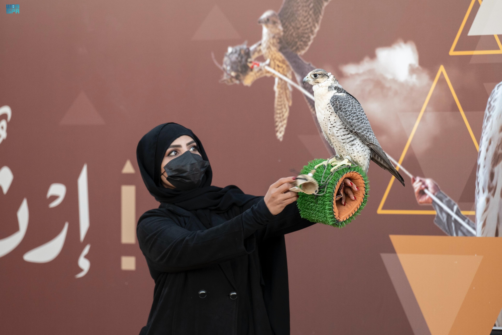 الصقارات السعوديات يتنافسن شغفًا بالموروث