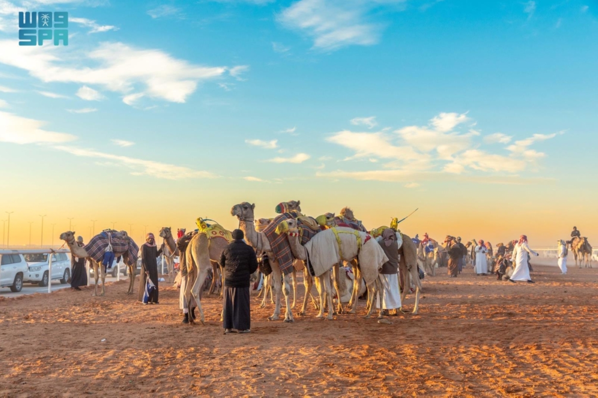 التركي: مهرجان المؤسس نقلة نوعية في الاستثمار بالإبل