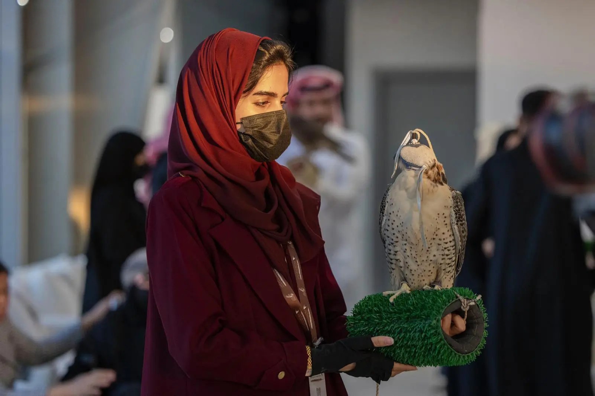 "سيف الملك" يستدل الستار على مهرجان الصقور  بجوائز تاريخية