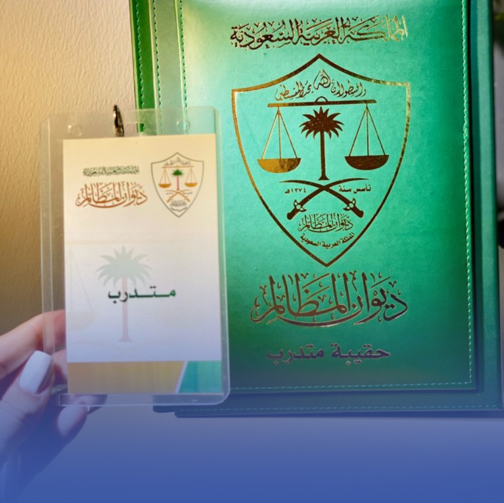 ديوان المظالم يفتح باب التقديم للتدريب التعاوني
