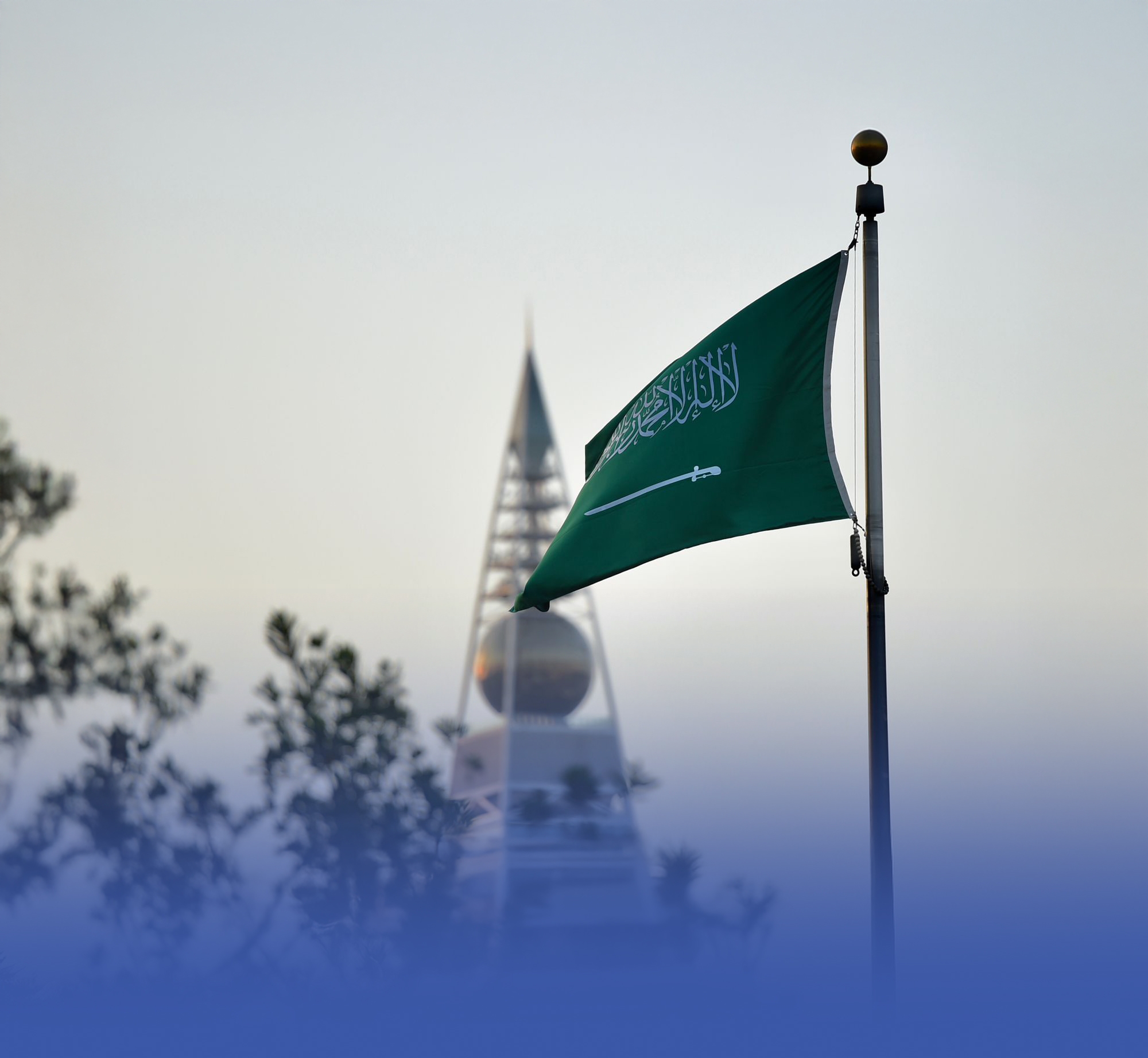المملكة عضوًا بـ"تنفيذية" رابطة مكافحة الفساد