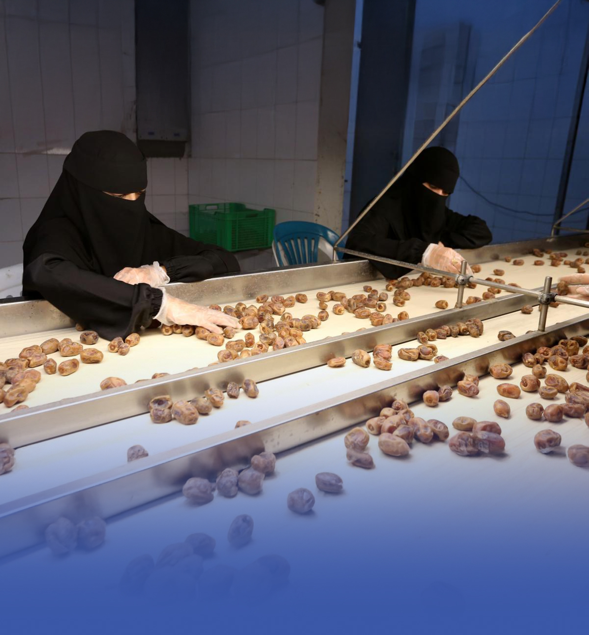 %85 من مصانع التمور توسّع شراكاتها مع قطاع الإعاشة