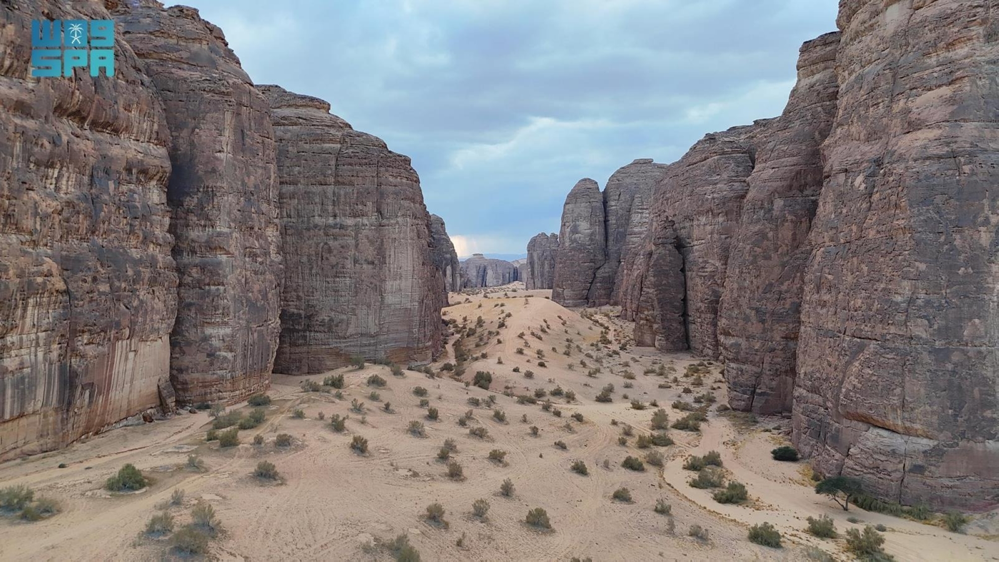 محمية شرعان.. وجهة مثالية لعشاق الطبيعة والمغامرة