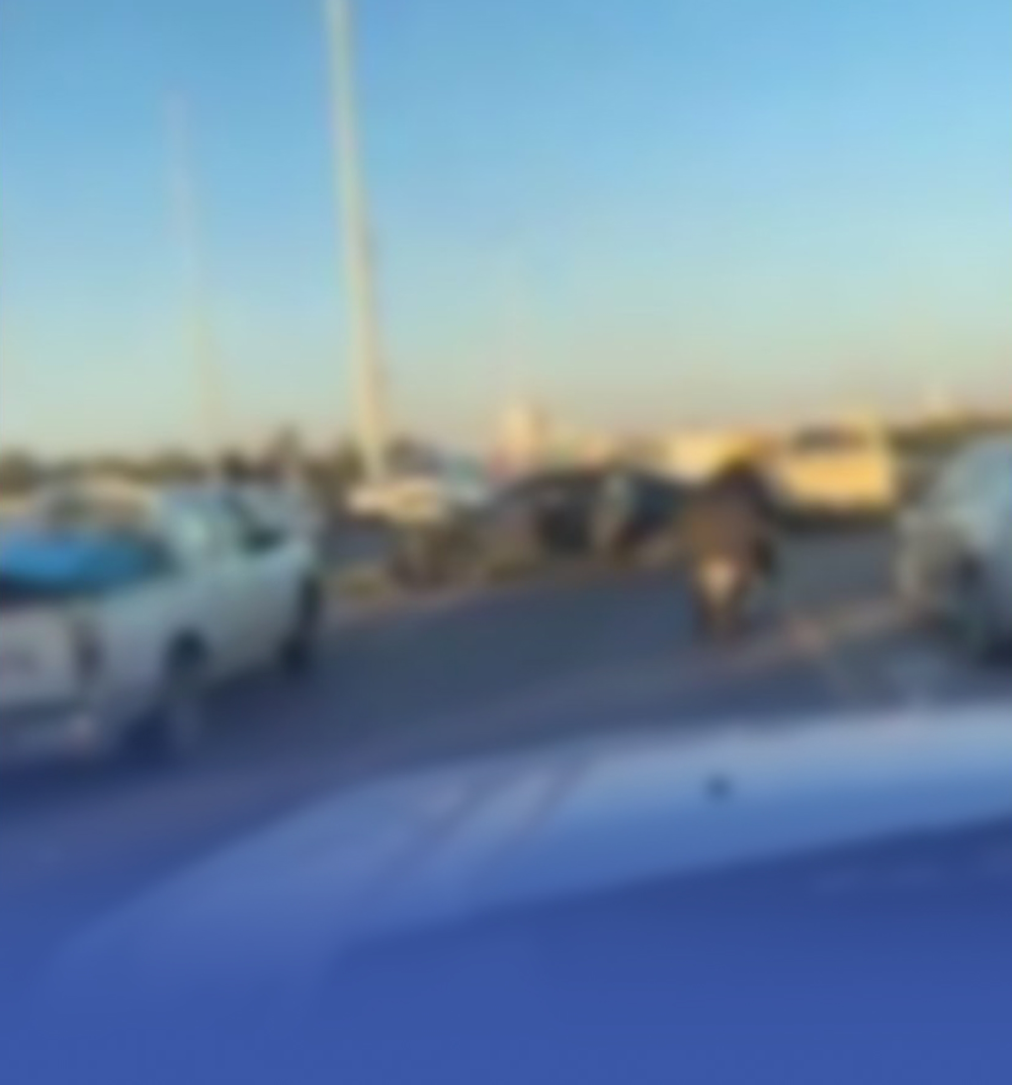 متهور يعكس السير ويتسبب في 3 إصابات ووفاة بالقصيم
