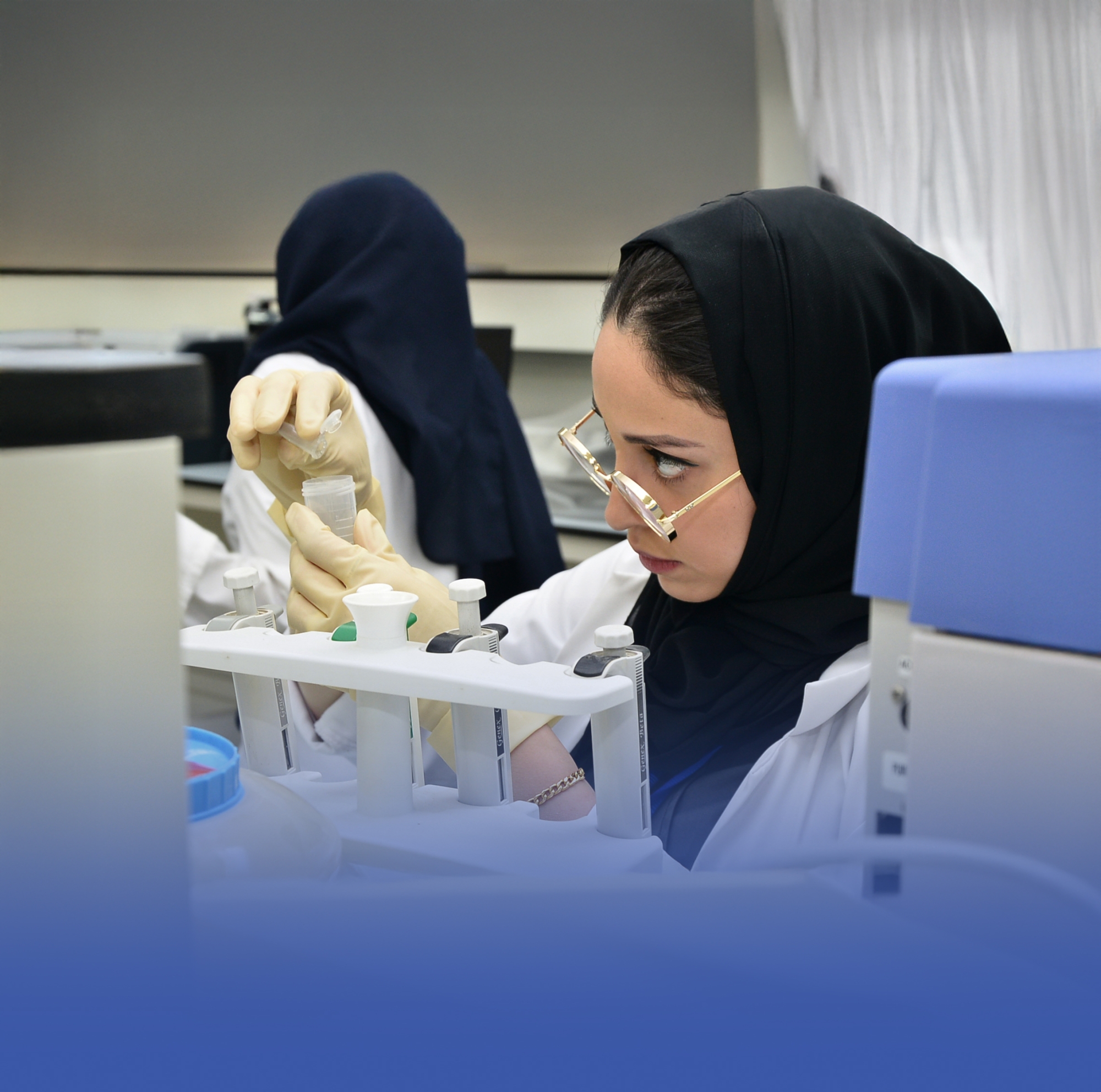 برنامج تدريبي لتعزيز جودة المنتجات الغذائية وسلامتها