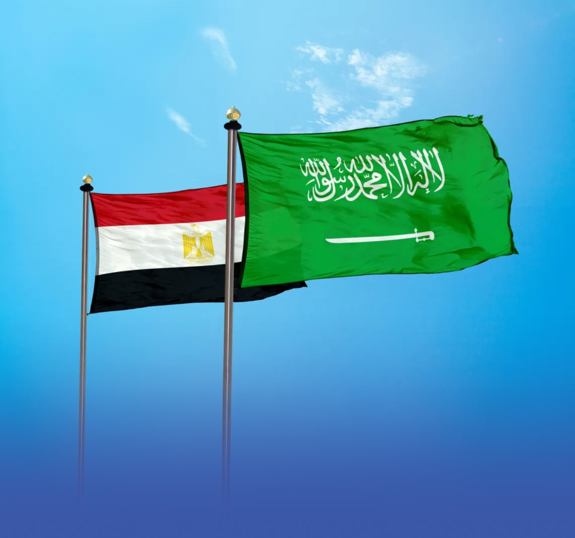 100 شركة سعودية تستكشف الفرص الاستثمارية بالسوق المصري