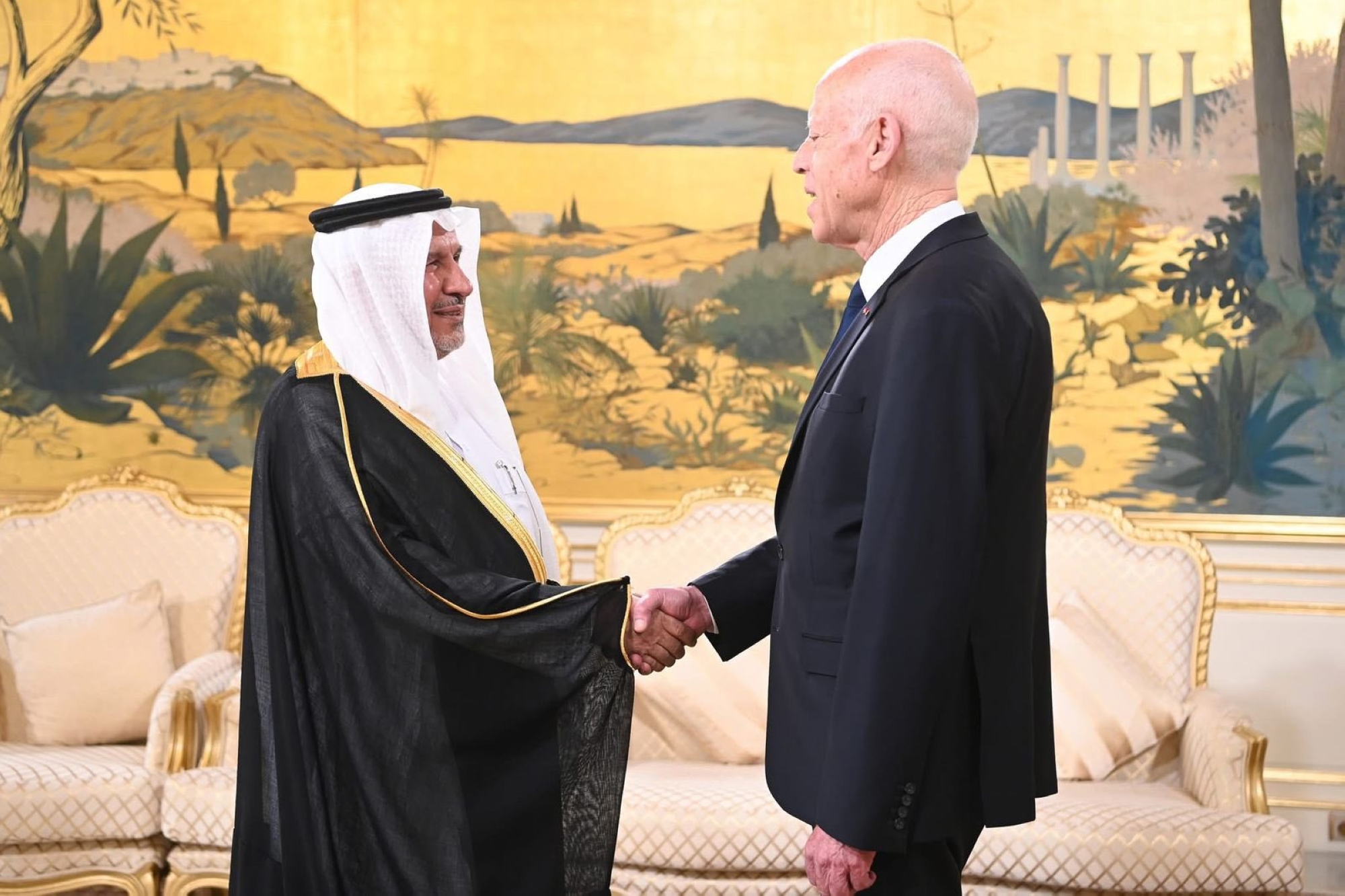 سعيّد والربيعة يبحثان تعزيز العلاقات الإنسانية والإغاثية