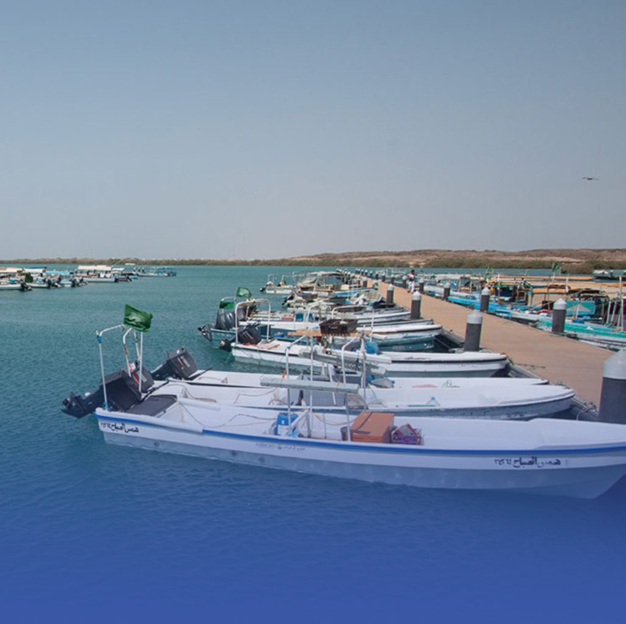 "هيئة النقل" تمهل ملاك القوارب المهملة بجازان شهرًا لمراجعتها