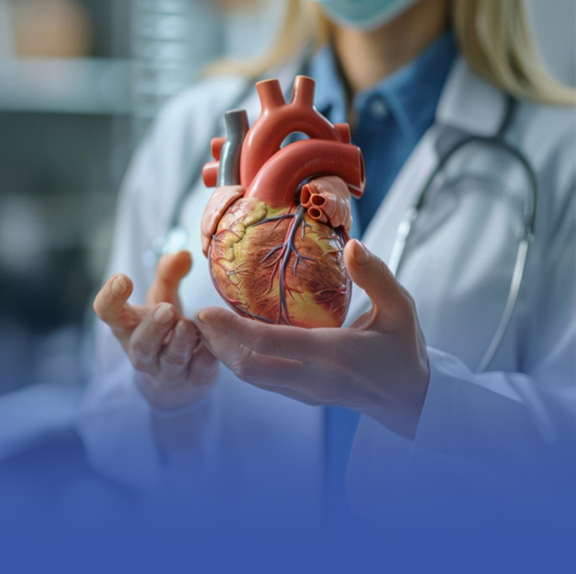 دراسة: تطعيم الحزام الناري يحمي القلب والدماغ