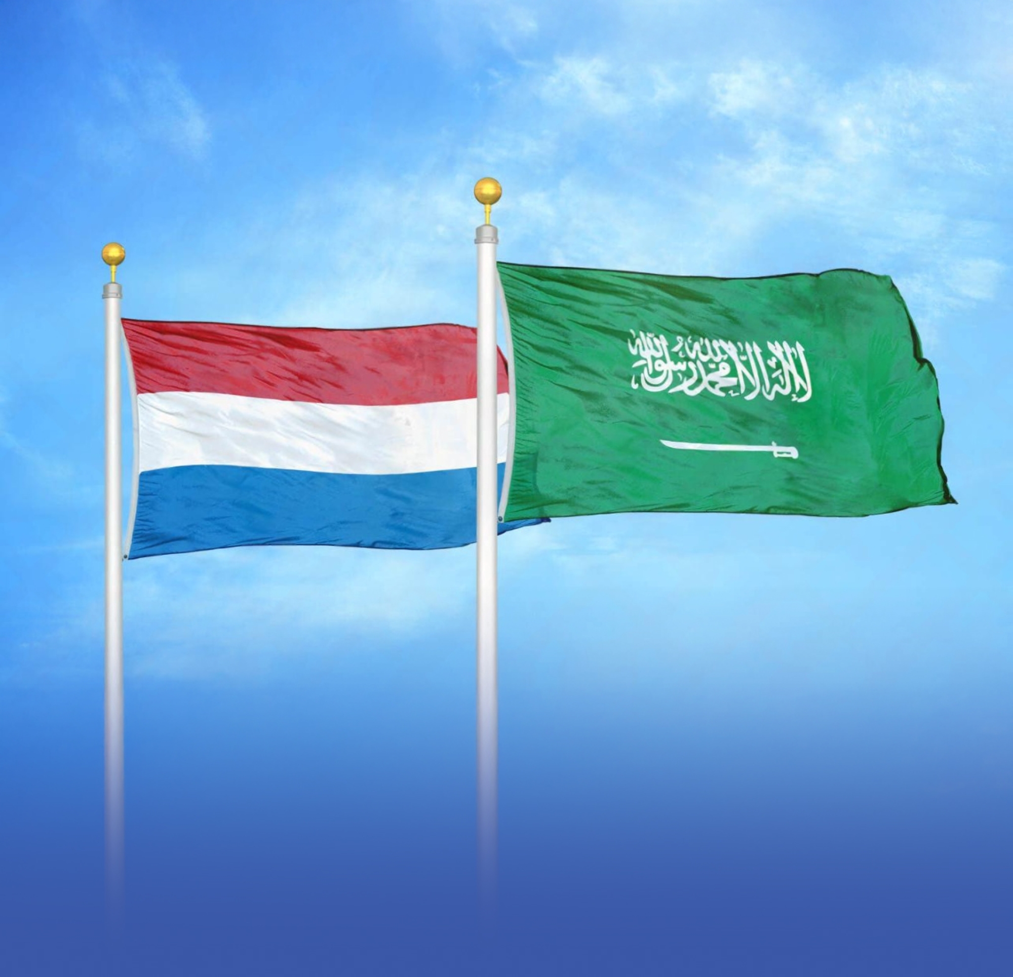 تشكيل مجلس الأعمال "السعودي - الهولندي"