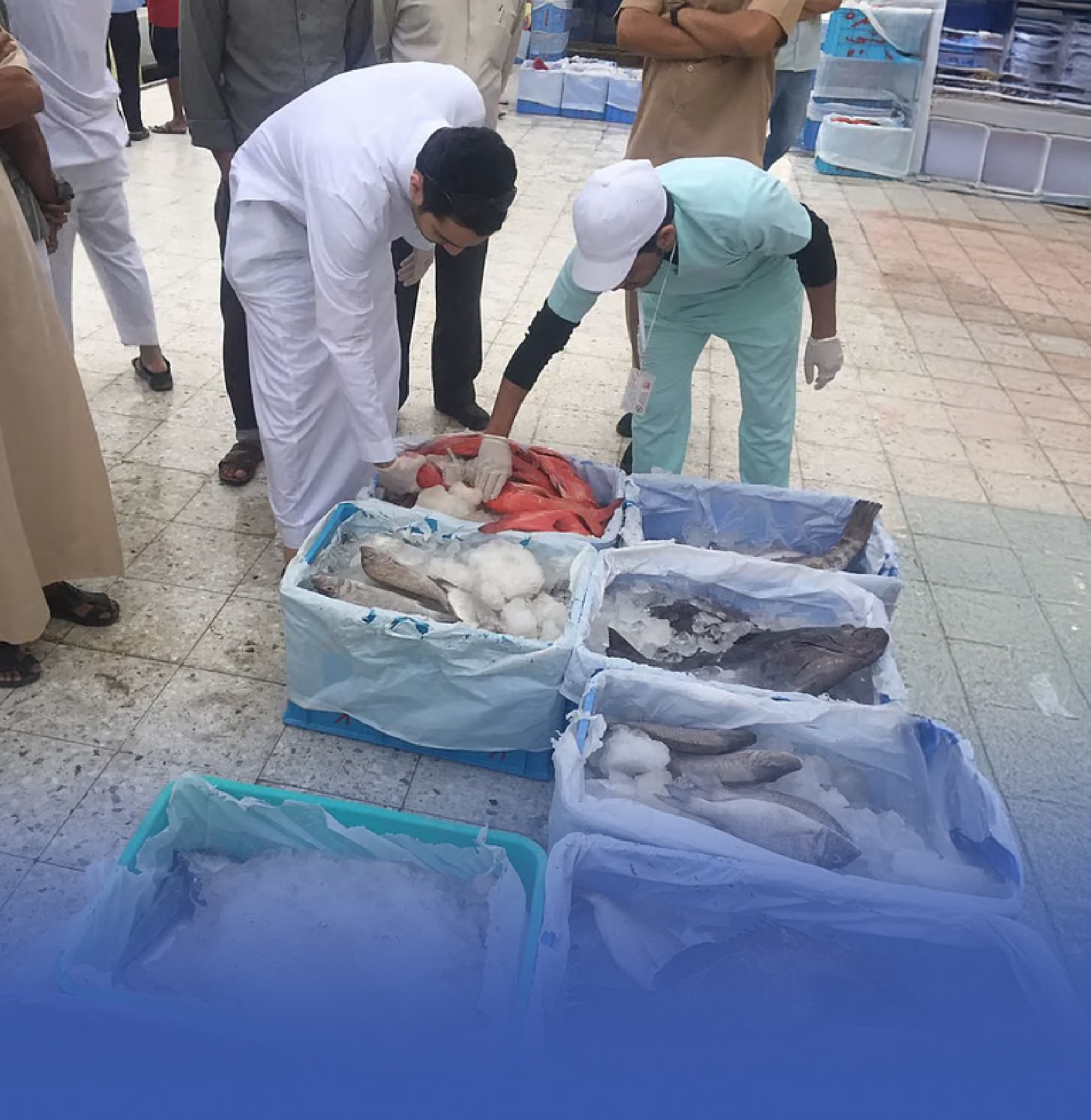 مُصادرة 15 طناً من الخضروات والأسماك بالعاصمة المقدسة