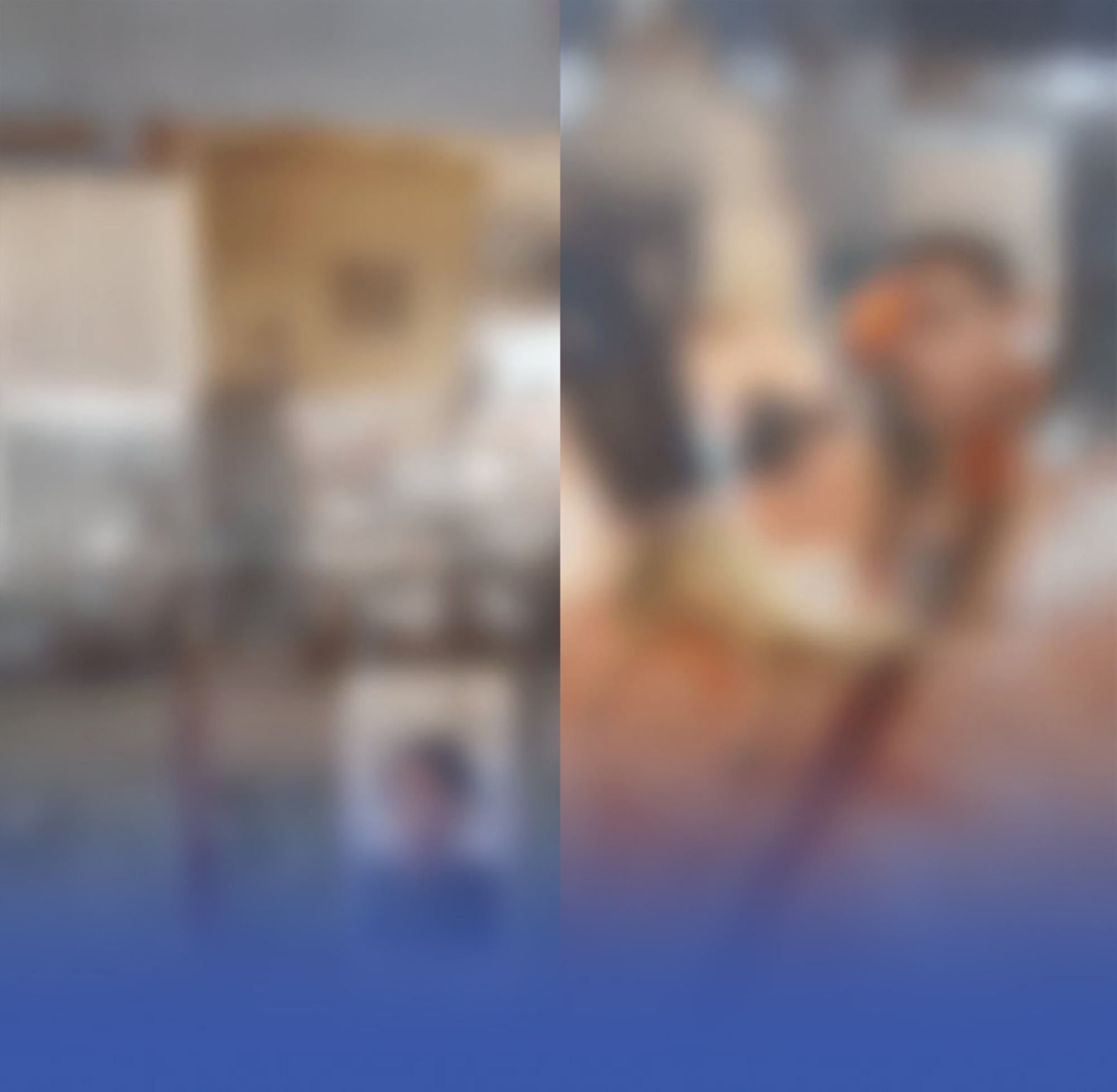 الإطاحة بـ4 مقيمين لارتكابهم النصب بذبح الهدي