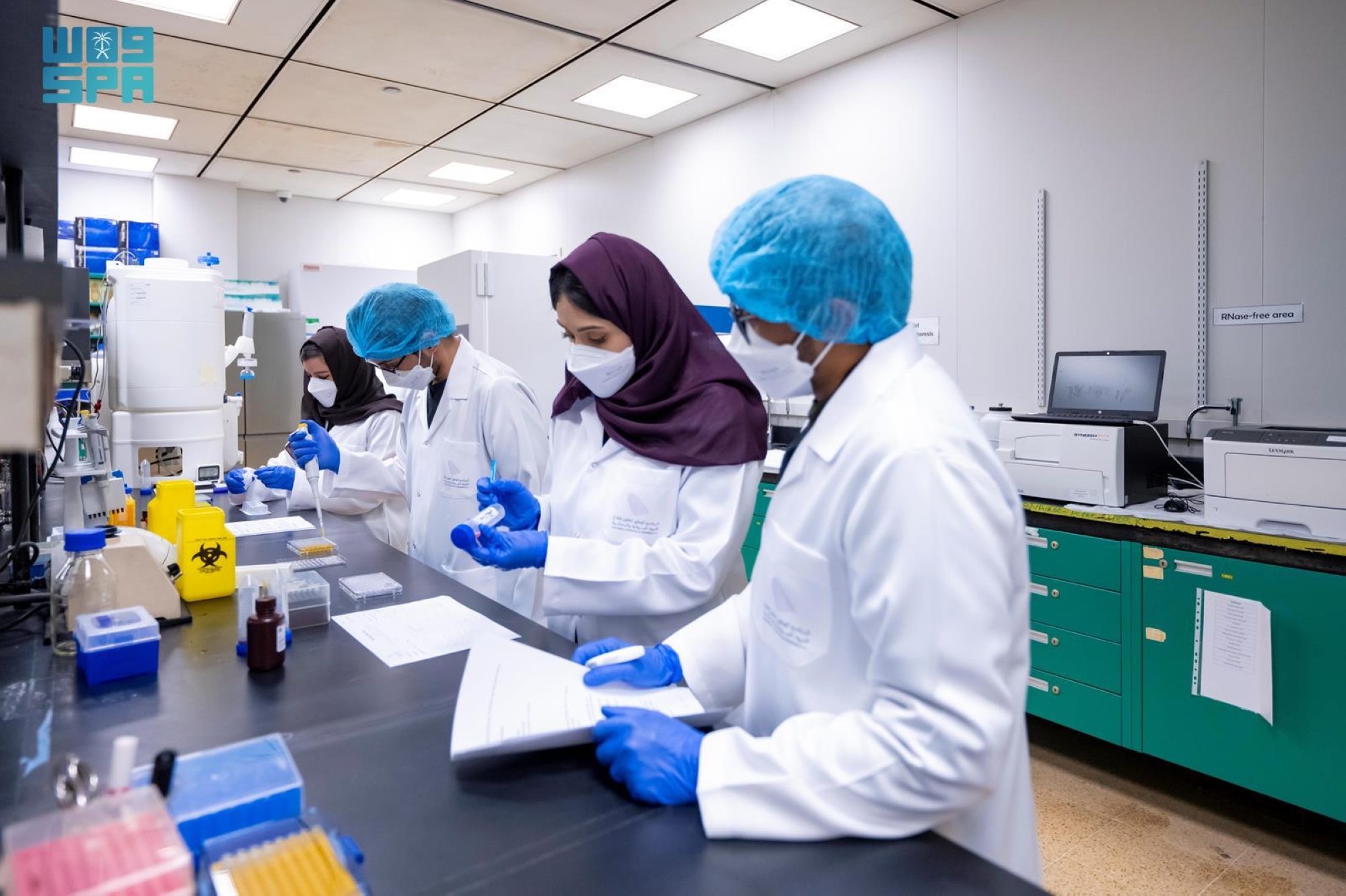 توطين اختبارات التحسين الوراثي للأبقار