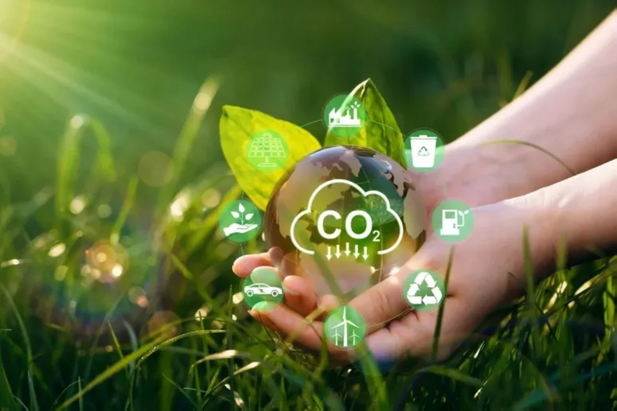 اتفاقية بين "الكربون الطوعي" و"إينووا" لتسليم 30 مليون طن من الكربون